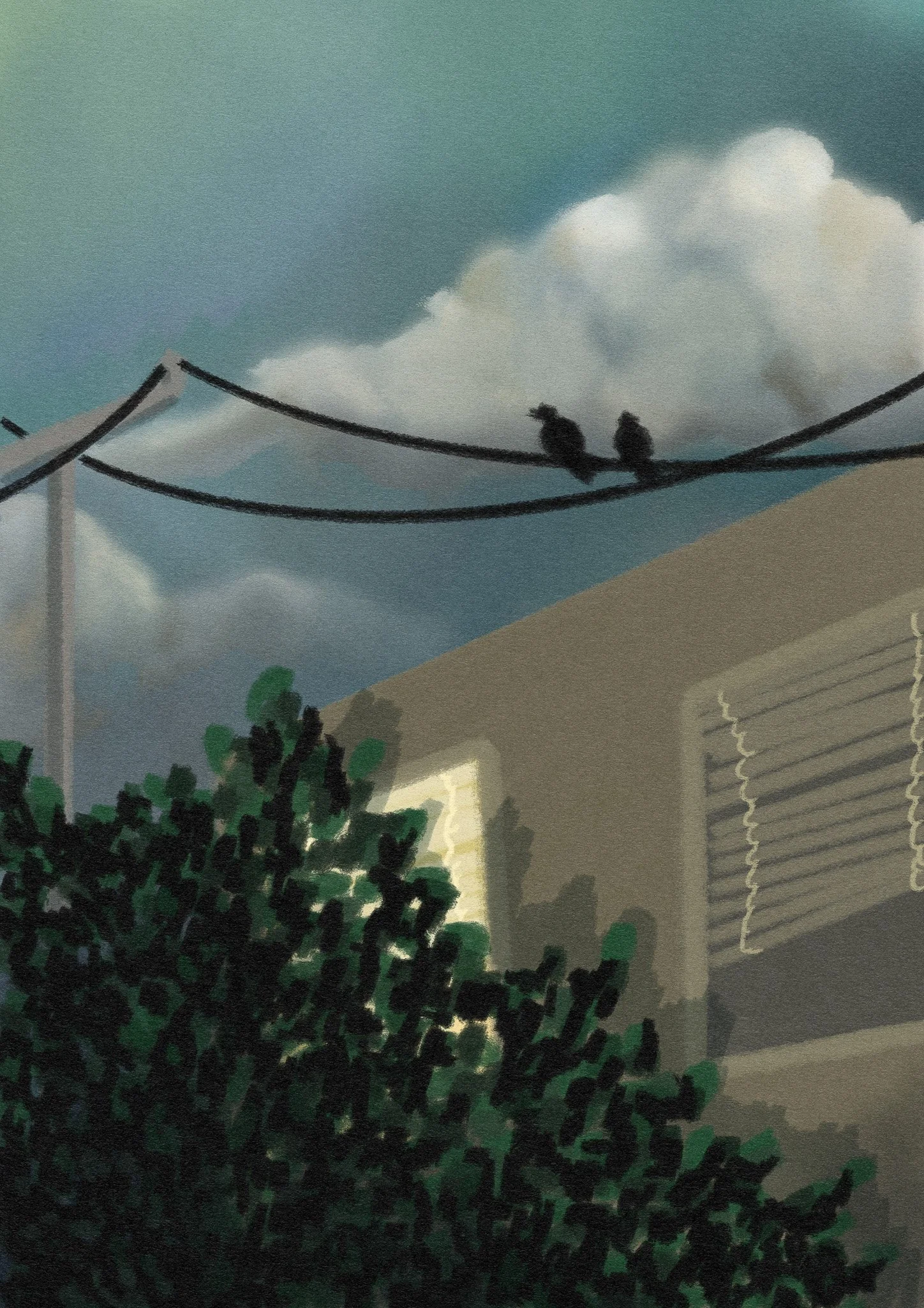 Deux oiseaux perchés sur des fils électriques devant un ciel nuageux et une maison partiellement visible avec des volets.