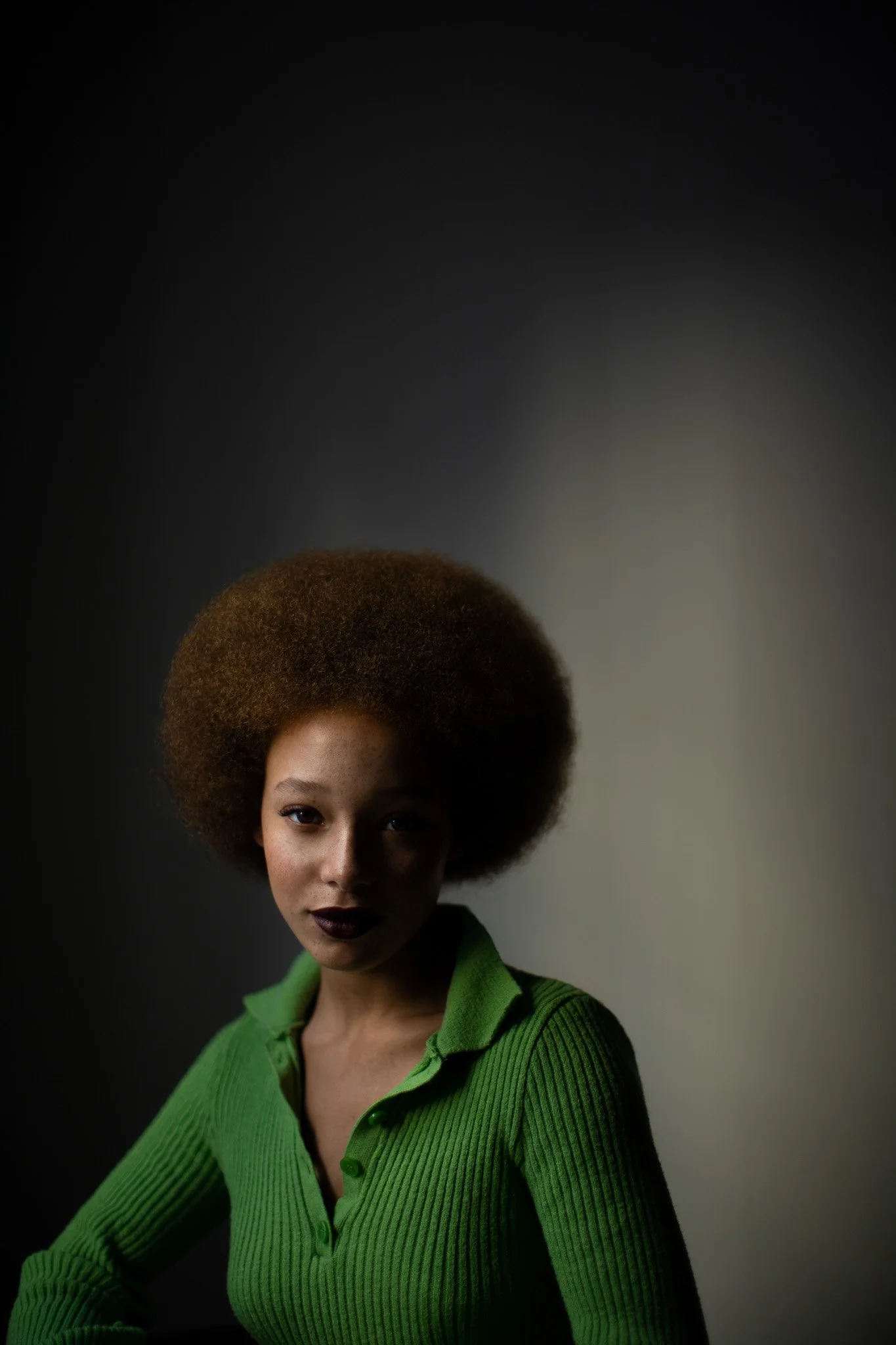 Portrait d'une femme avec un grand afro, portant un pull vert, devant un fond sombre avec un éclairage partiel sur son visage.