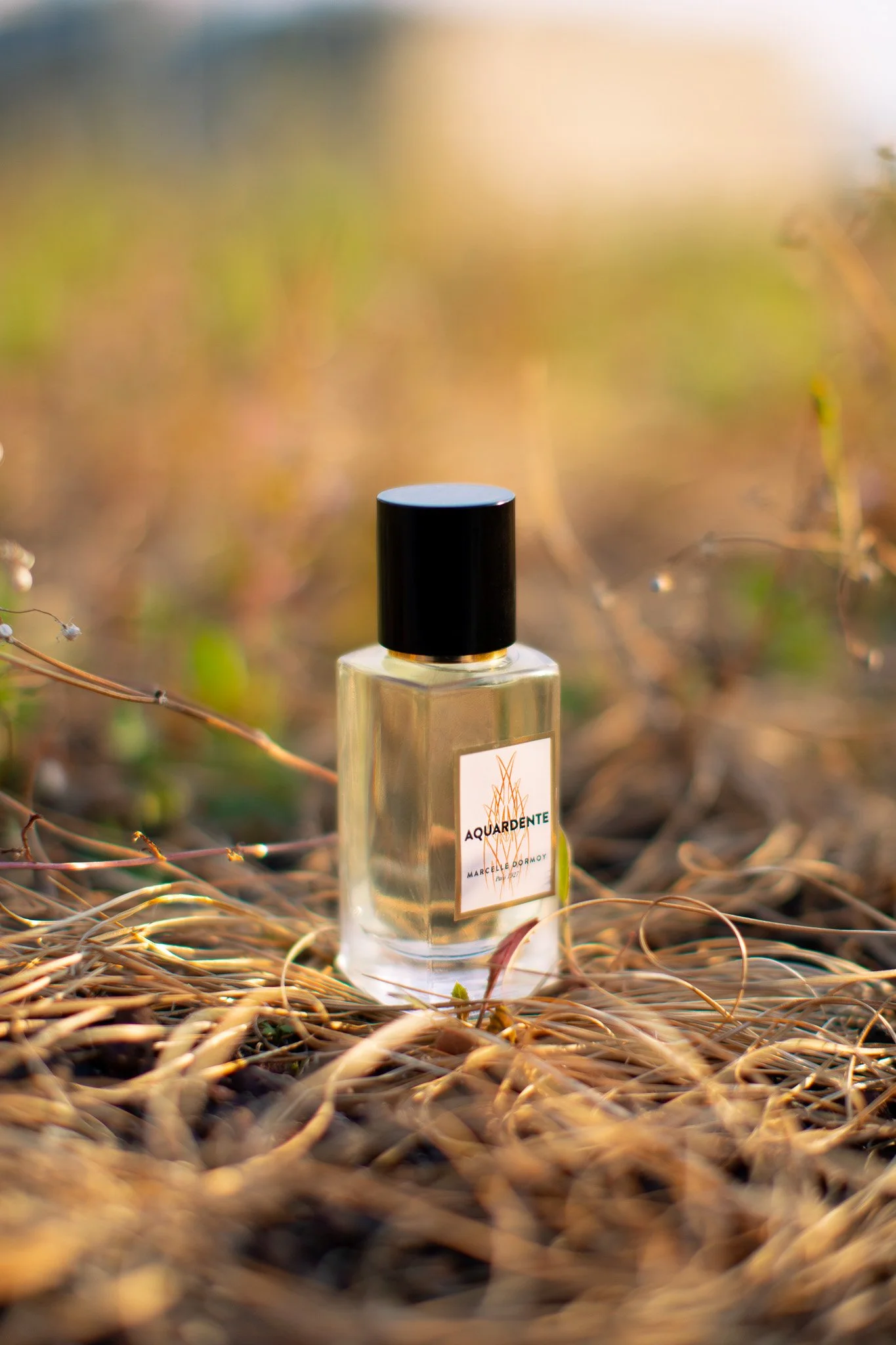 Un flacon de parfum nommé "AQUARDENTE" posé sur des herbes sèches avec un fond flou de nature.