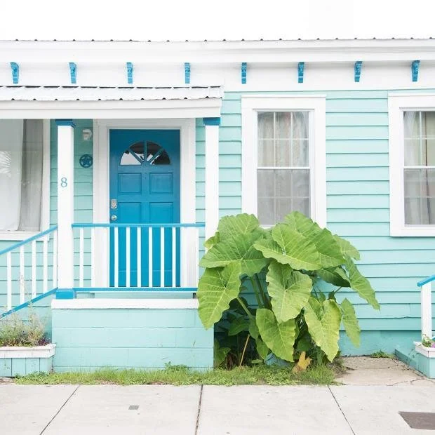Light blue house with white trim, blue front door, porch with railing, and large green leafy plant near the steps.