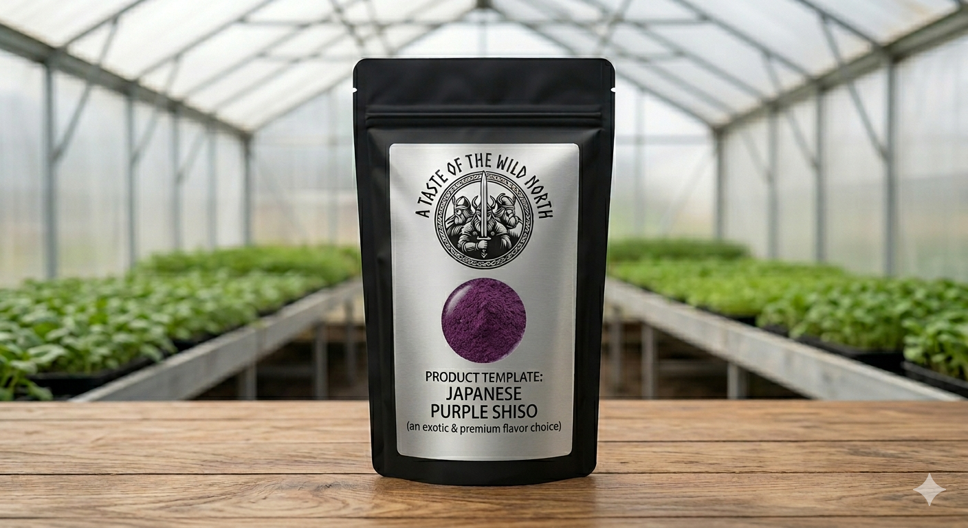 Japanese Purple Shiso