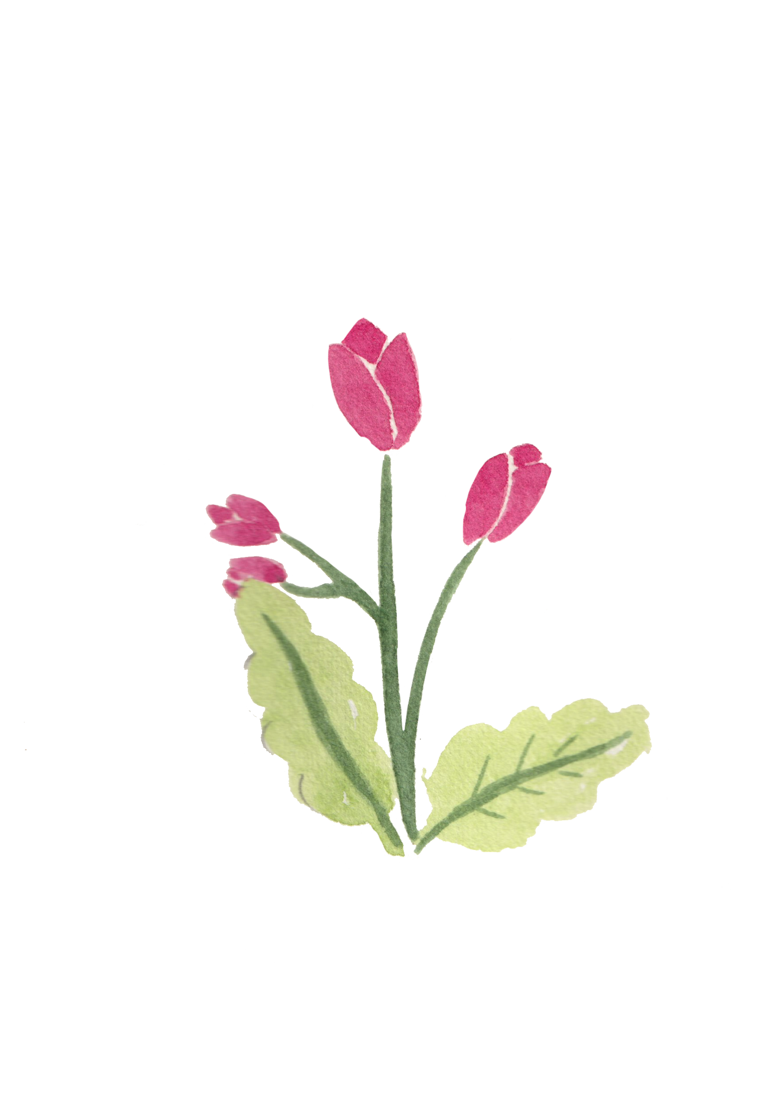 Watercolor illustration of a pink flower with green leaves.