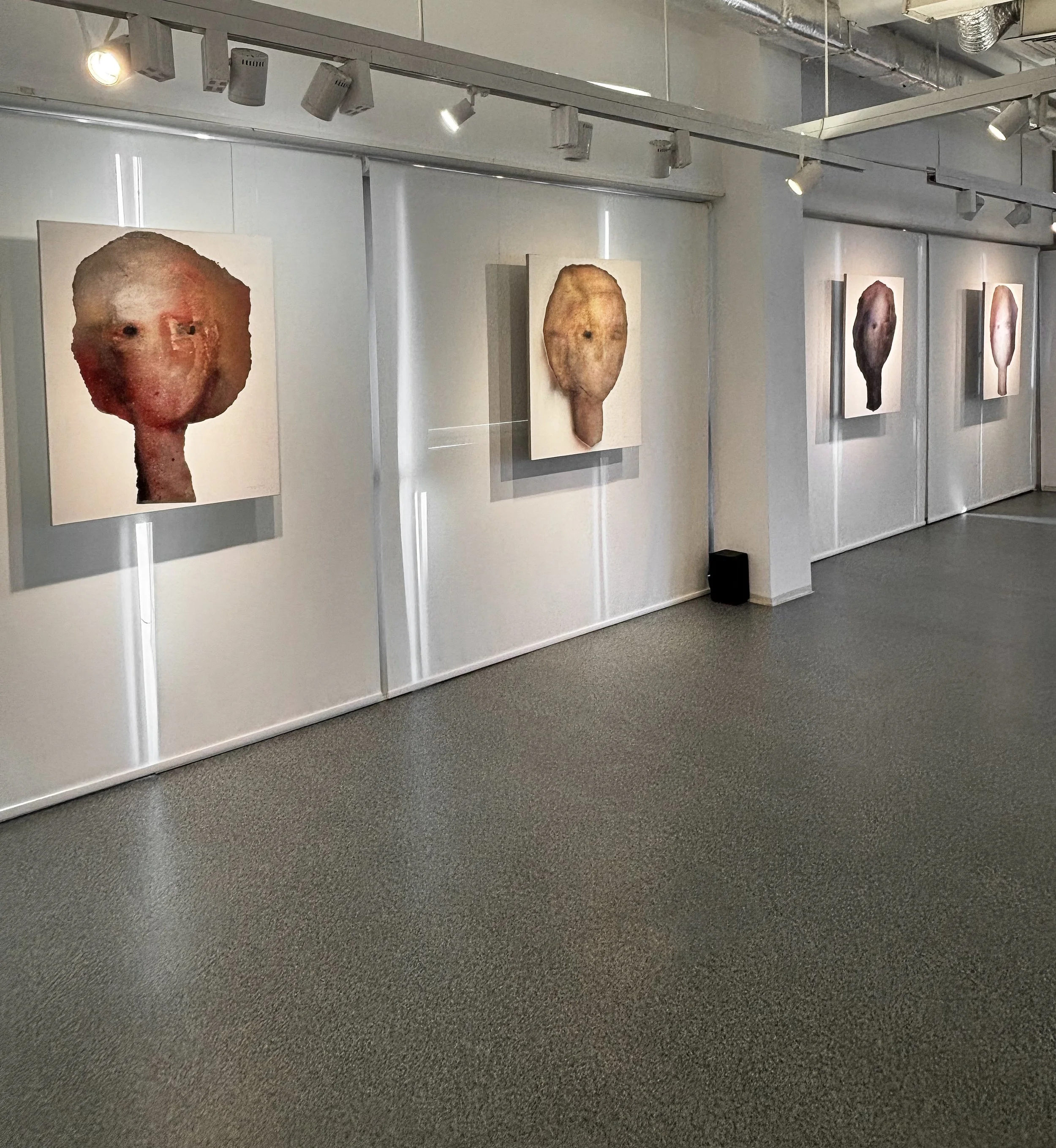An art gallery with five large abstract portraits of faces on white walls, illuminated by track lighting, with a gray carpeted floor and an electrical outlet visible.