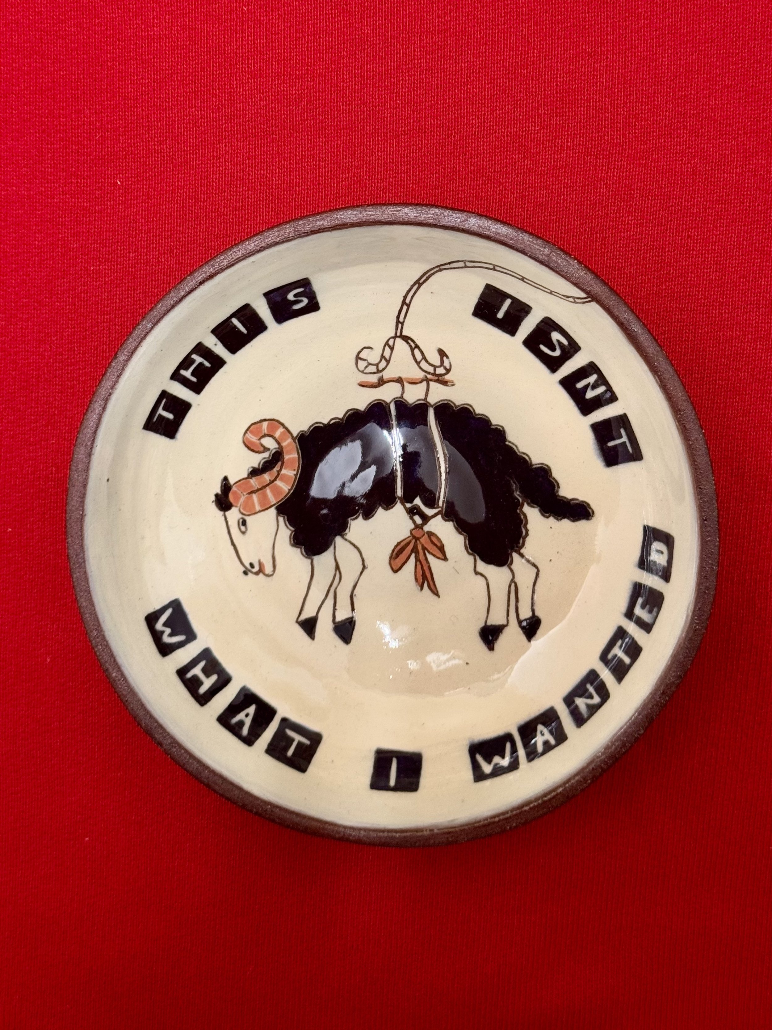 This isn't what I wanted bowl