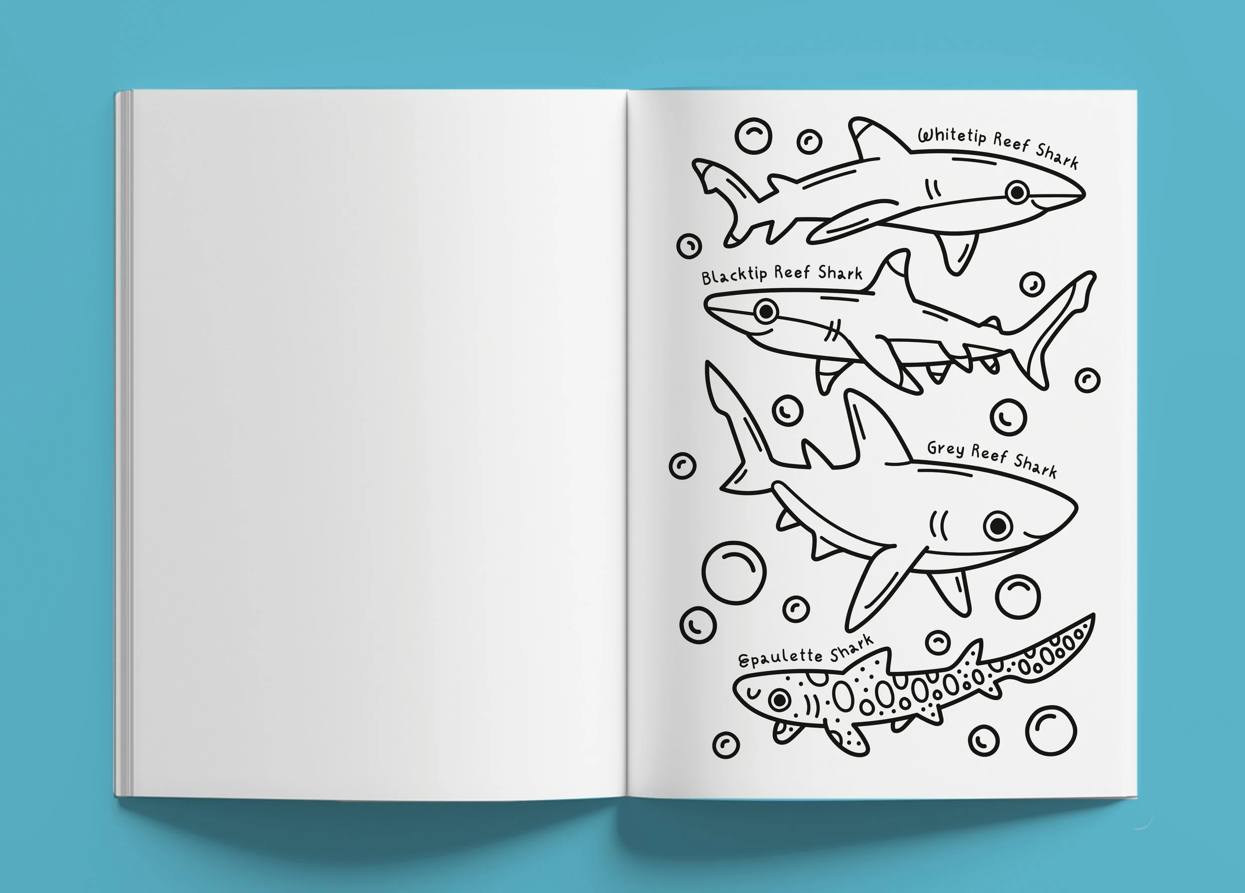 Coral Reef - Malbuch. Eine aufgeschlagene Doppelseite des Buchs. Rechts zu sehen: Illustration verschiedener Hai-Arten mit schwarz-weißer Kontur.