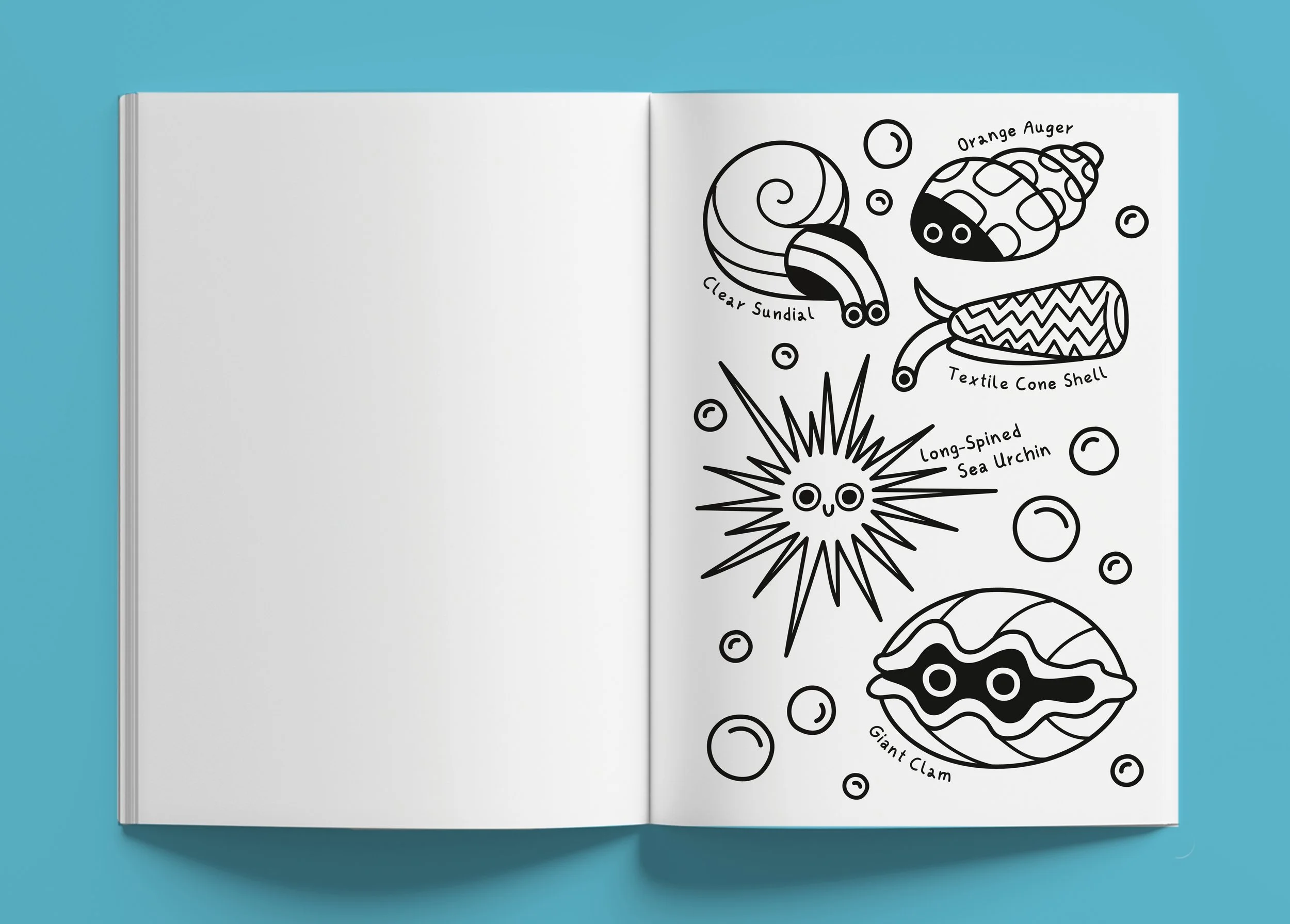 Coral Reef - Malbuch. Eine aufgeschlagene Doppelseite des Buchs. Rechts zu sehen: Illustration einer mehreren verschiedener Muschel und Seeigel Arten mit schwarz-weißer Kontur.