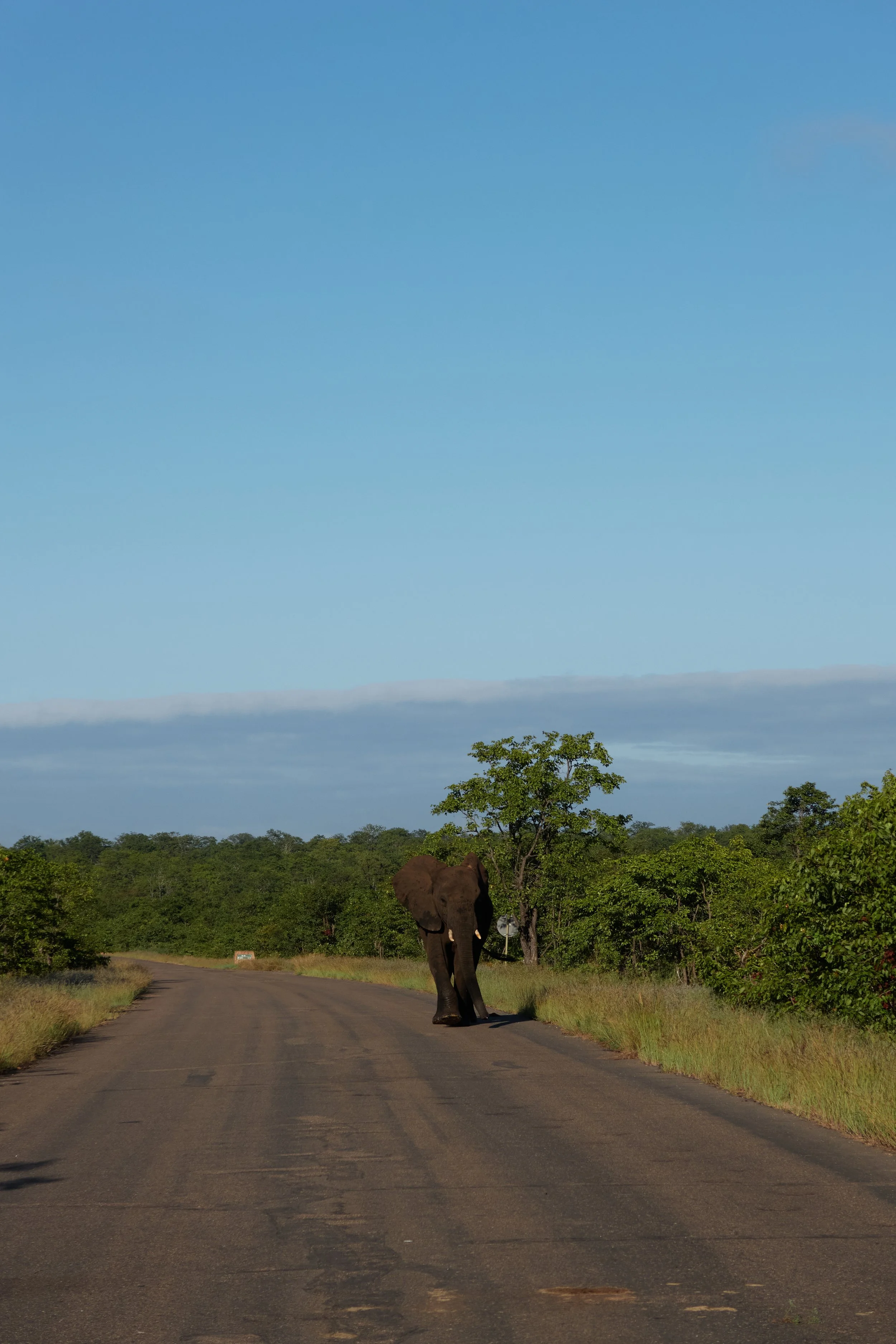 IMG_1148 Afrika.jpg