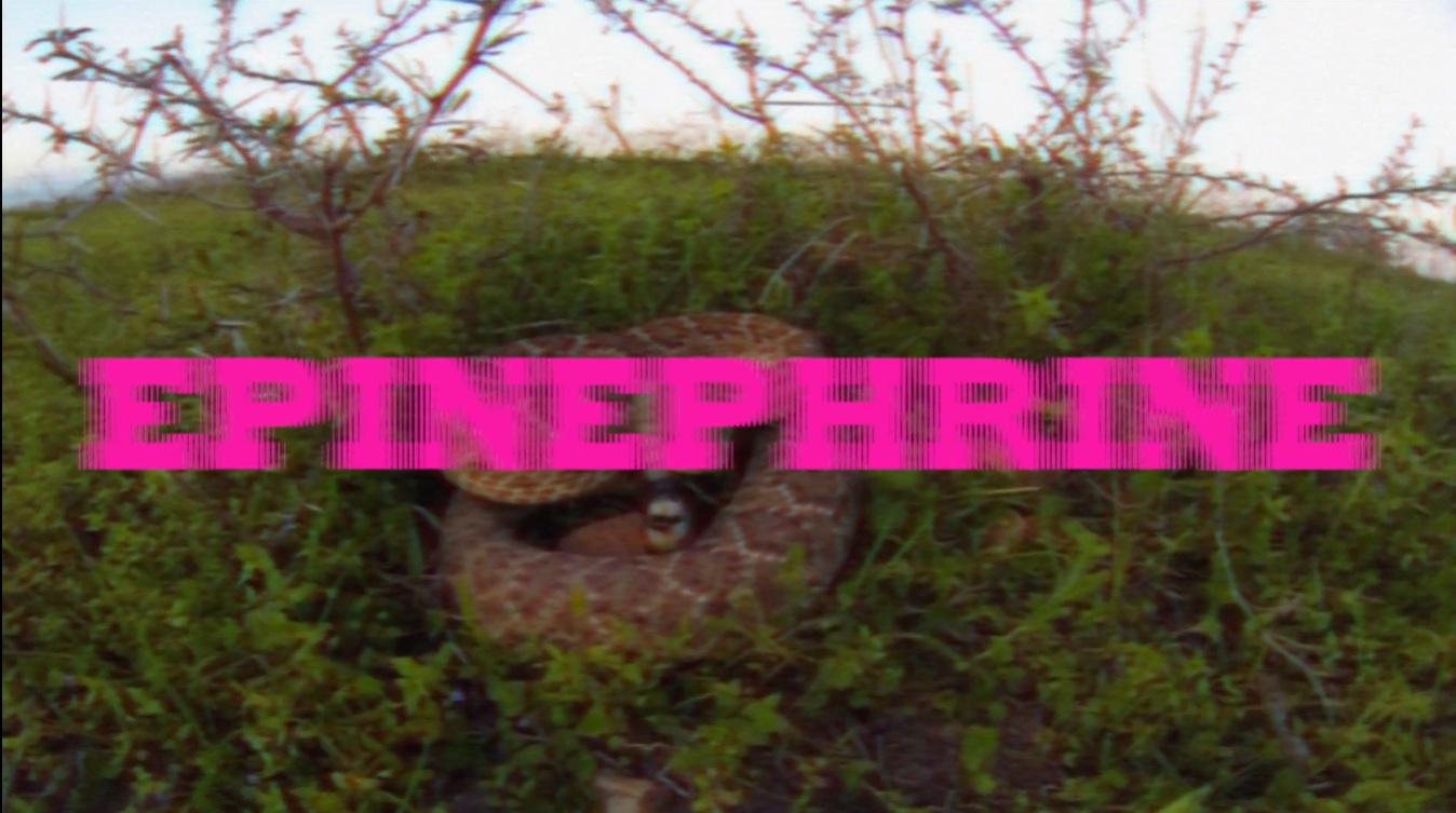 Epinephrine Short Film by Crosbie Roper