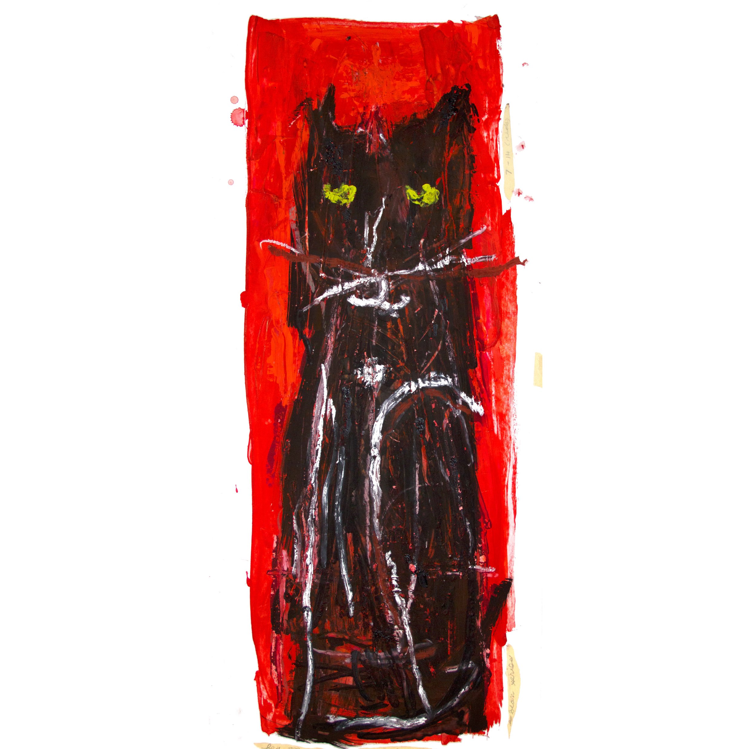 Black Cat on Red