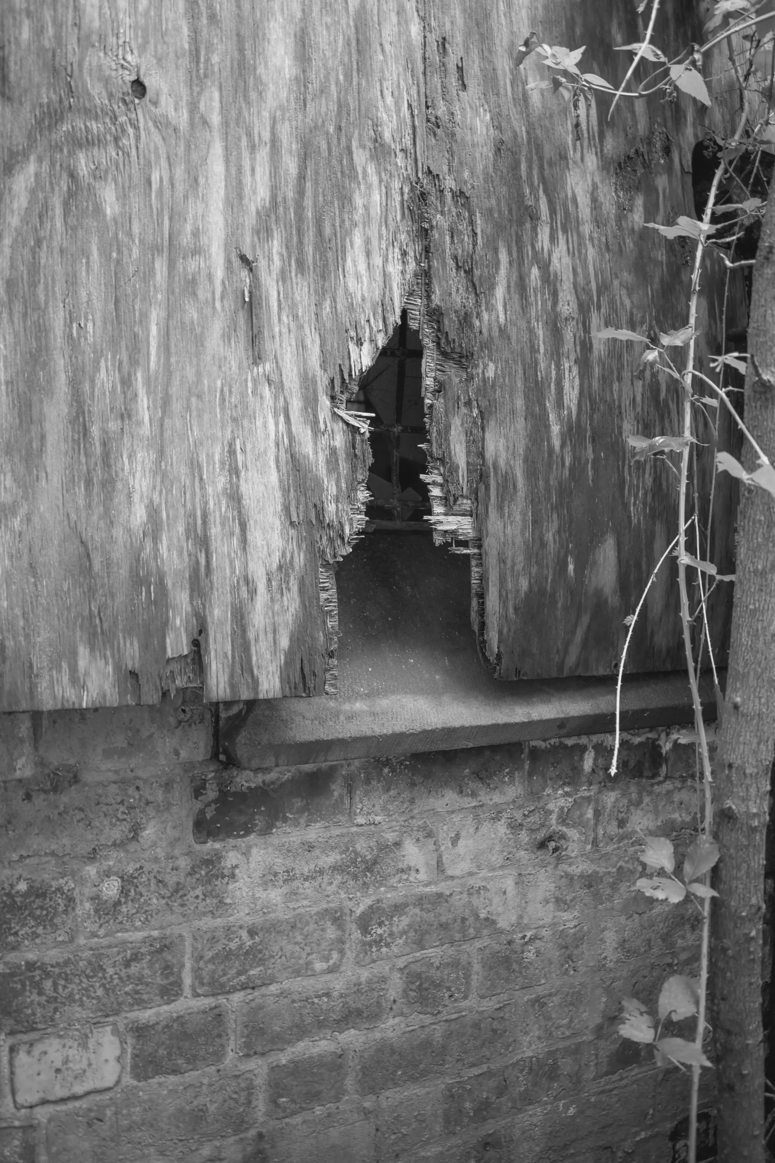 Wigan - Tyldesley Cemetery - 06-2.webp