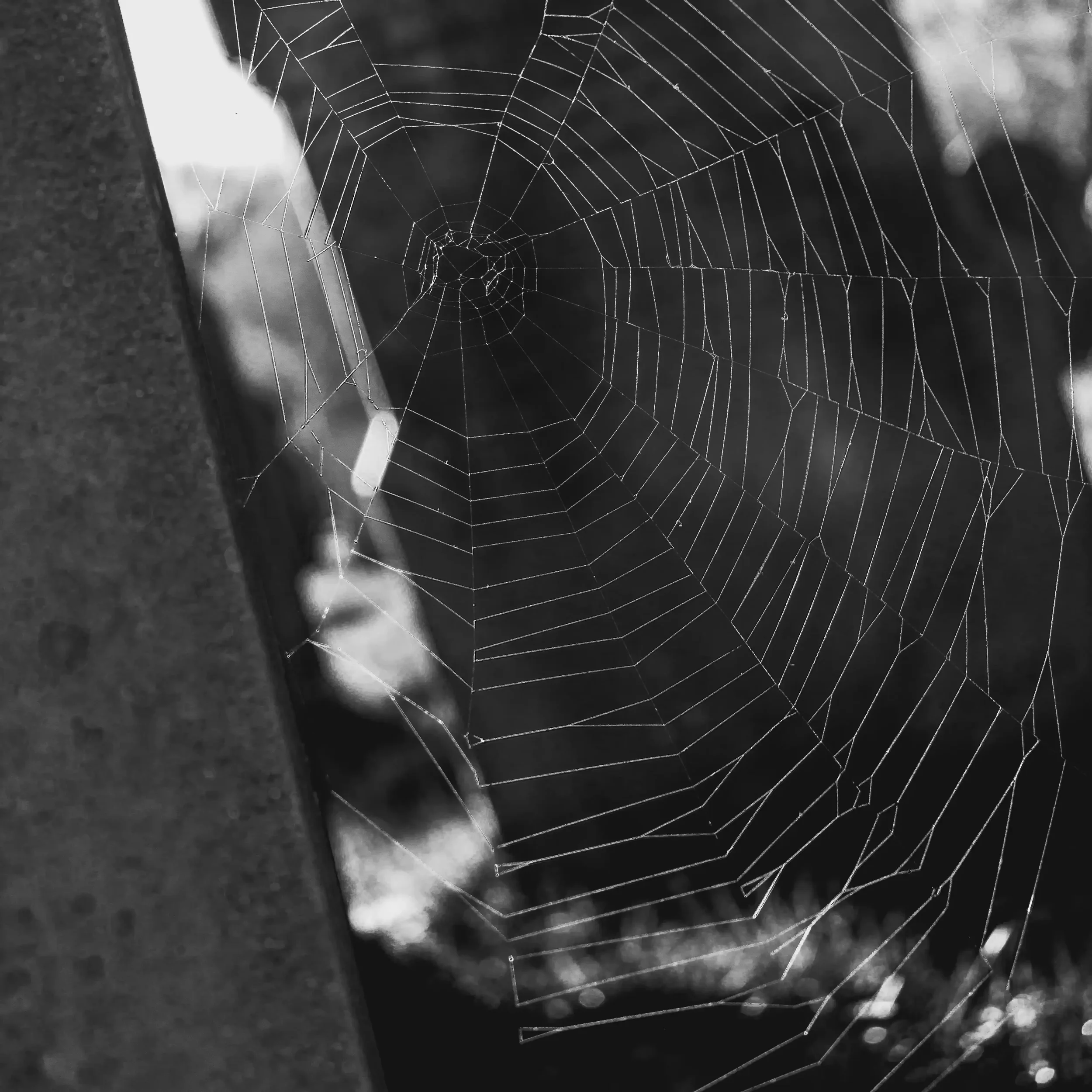 Bolton - Tonge Moor Cemetery - 6-4.webp