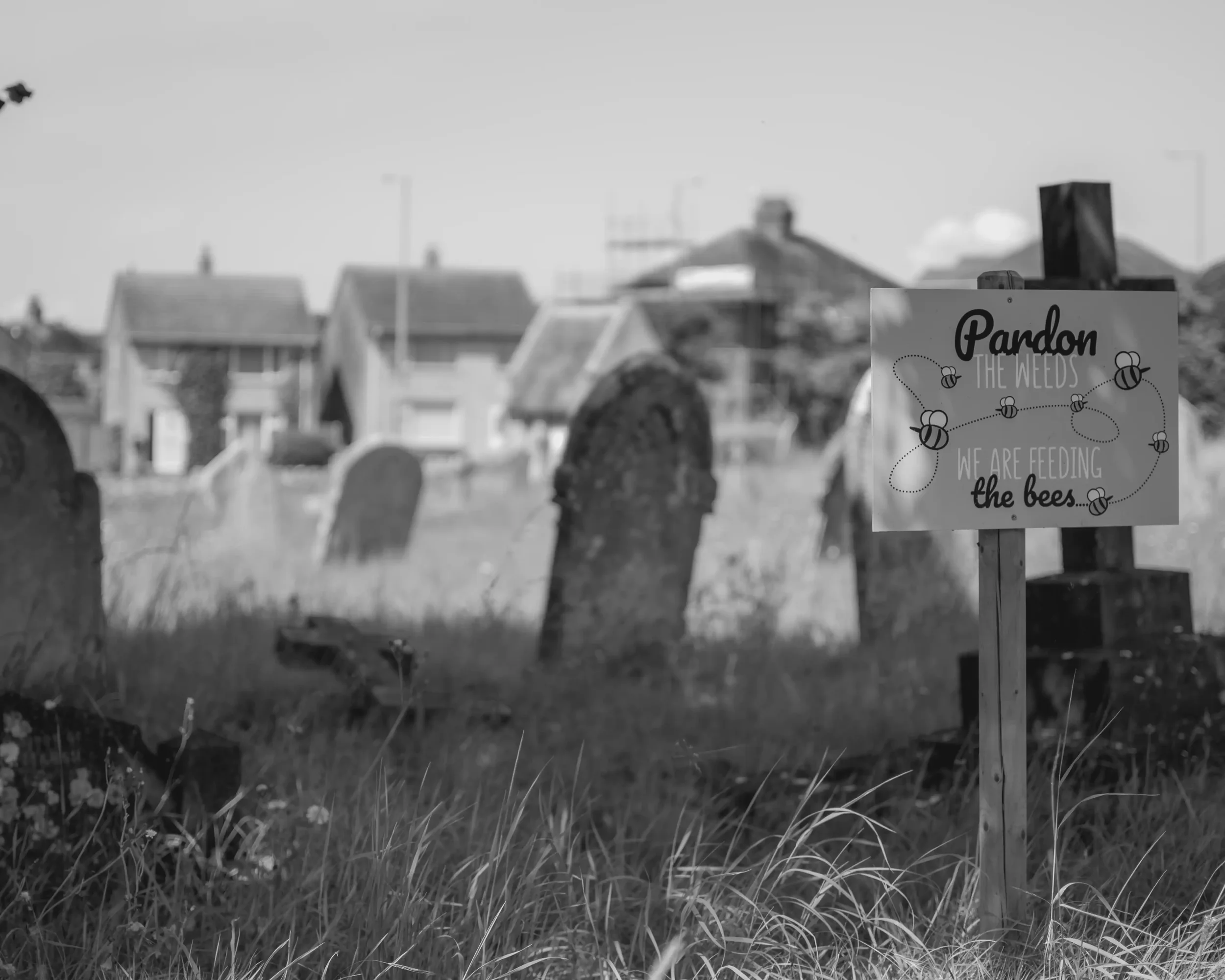 Weymouth - All Saints Church - 2-10 (1).webp