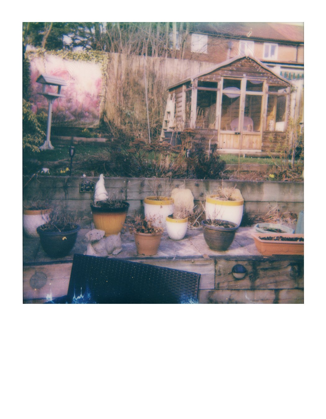 IG_4x5_Jayne_Polaroid.jpg