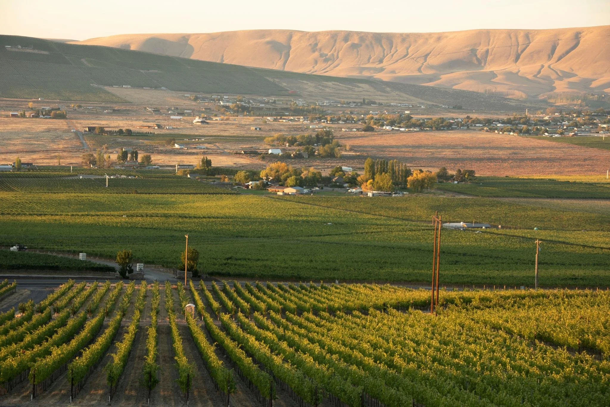 Where to Taste Sangiovese in Woodinville