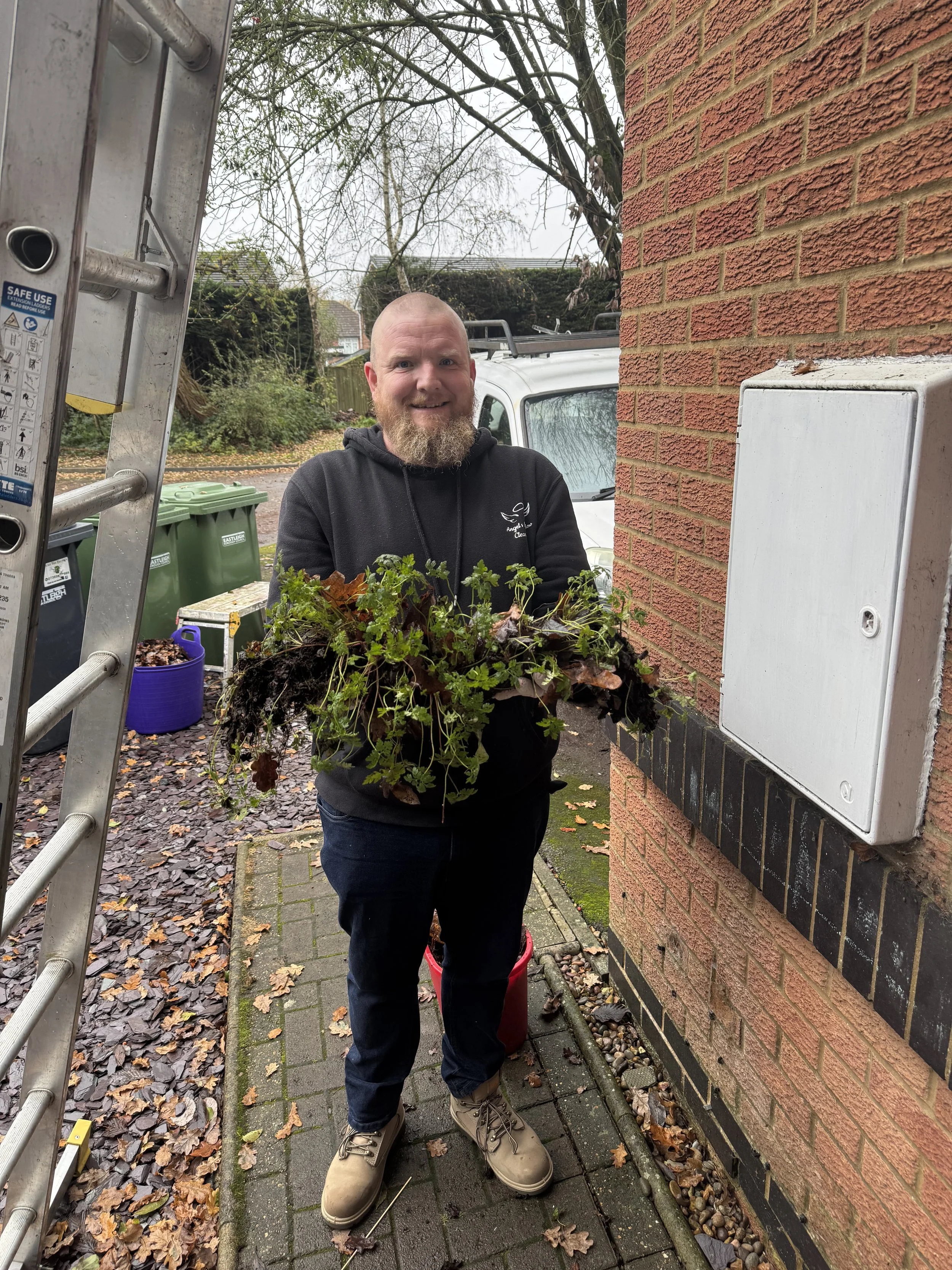 A man with a beard and bald head smiling while holding a bunch of plants outside next to a brick wall and greenery, with a ladder and garbage bins nearby.