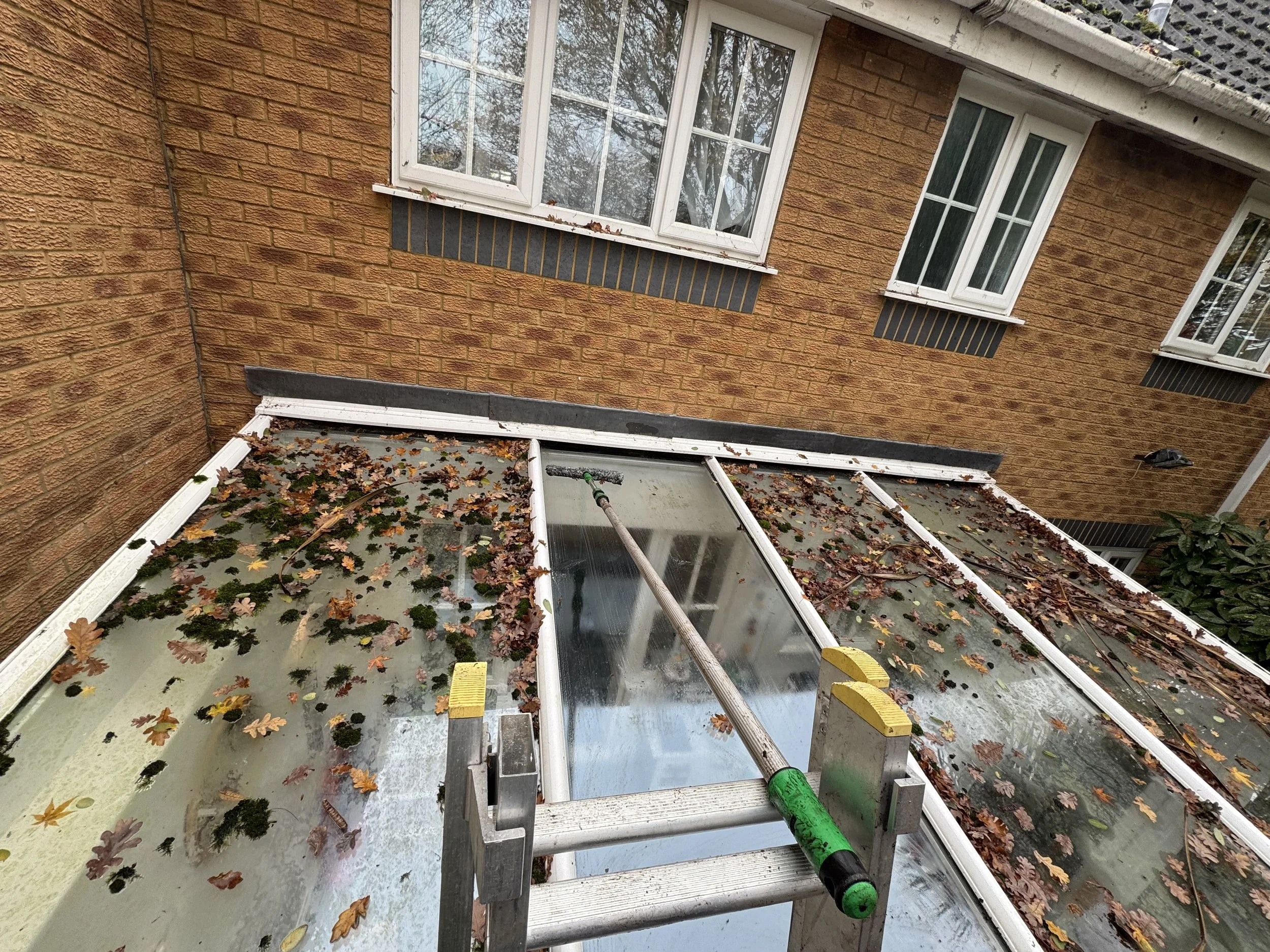 A backyard with a large glass patio enclosure covered with fallen autumn leaves, a water hose, and a brick house wall with three white-framed windows.