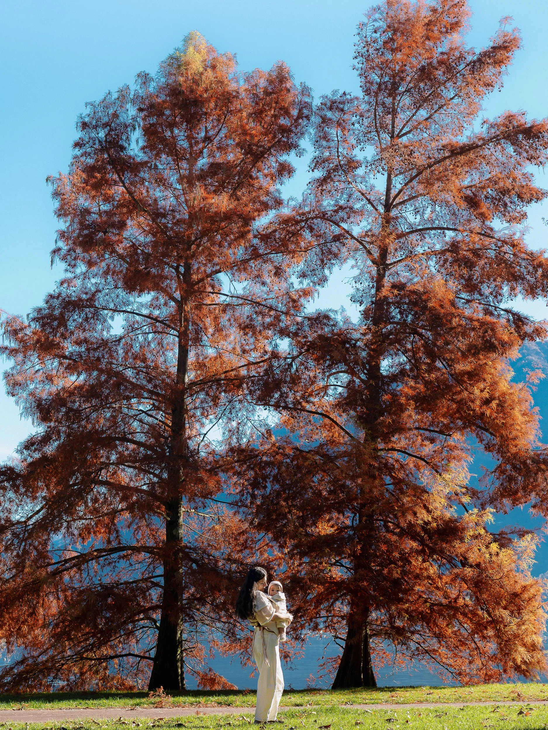 andreal-1.jpg