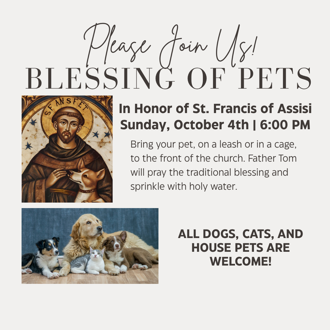 Philip_Fruytiers_-_St._Francis_of_Assisi.j.png