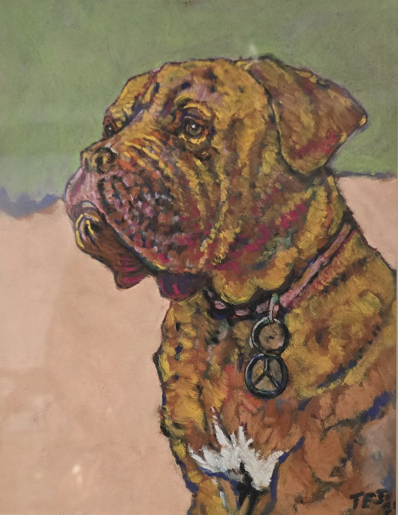 Colorful Pastel Pet Portraits From Your Pictures! Each picture comes with a mat and clear frame.