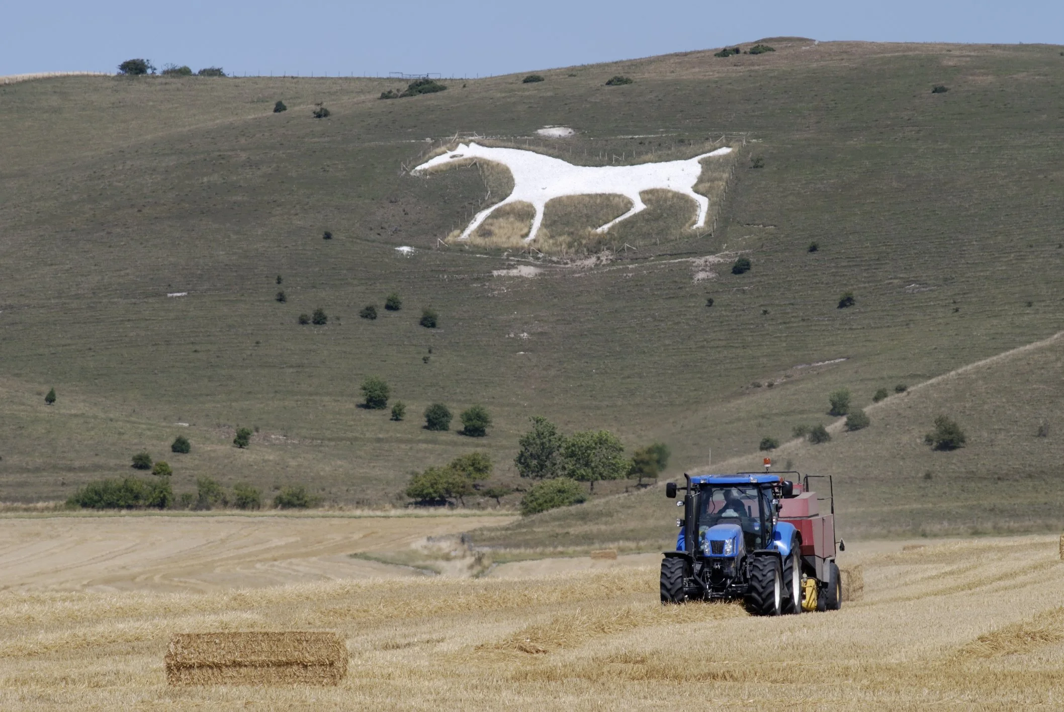 Large hillside with white chalk drawing of a dog, outlined with fencing, on the slope. A blue tractor is working in a field in the foreground, with hay bales scattered.