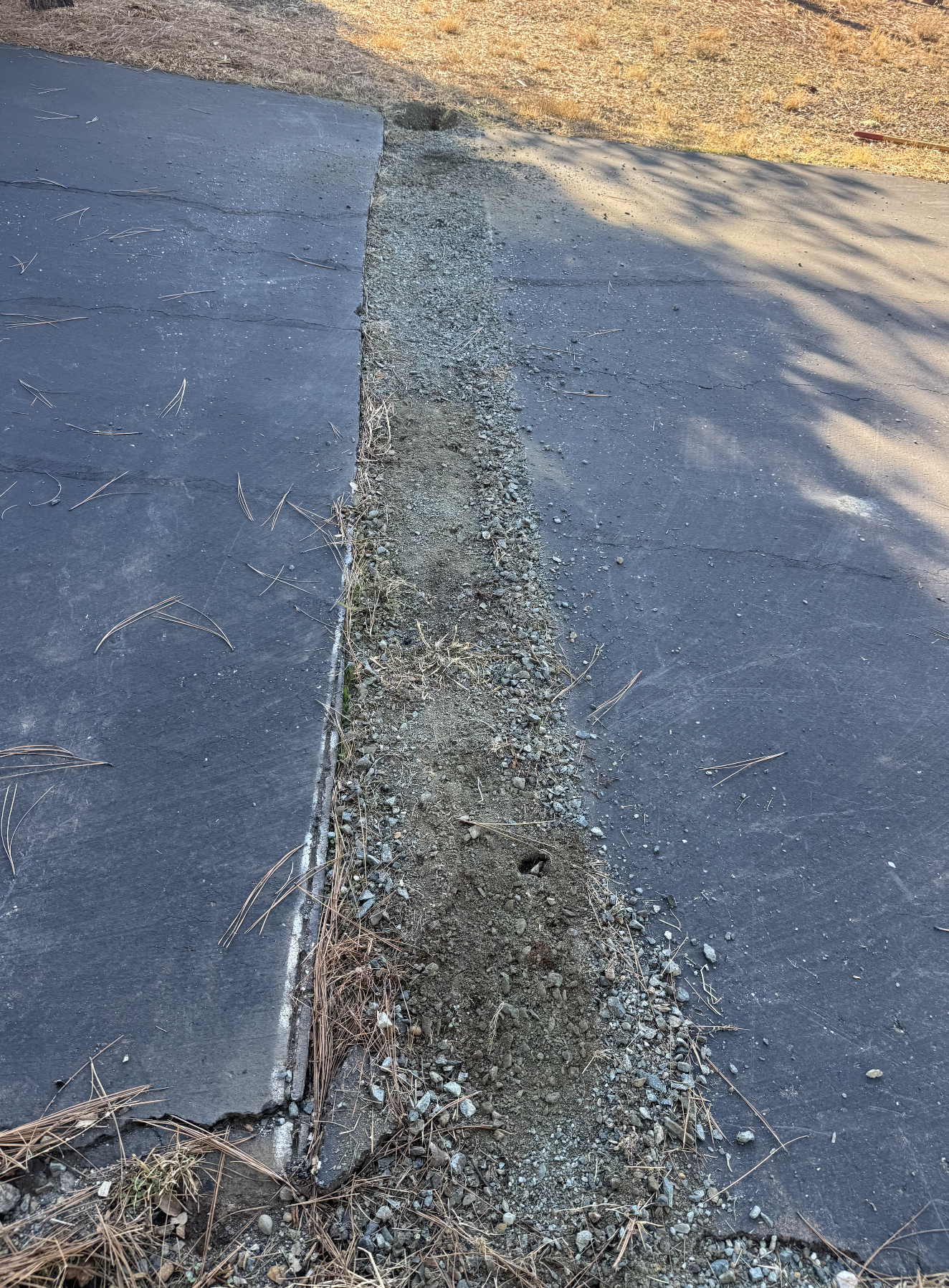 A paved sidewalk with a strip of soil and small rocks in the middle, some dried pine needles scattered on the ground, and a grassy area with shadows of tree branches in the background.