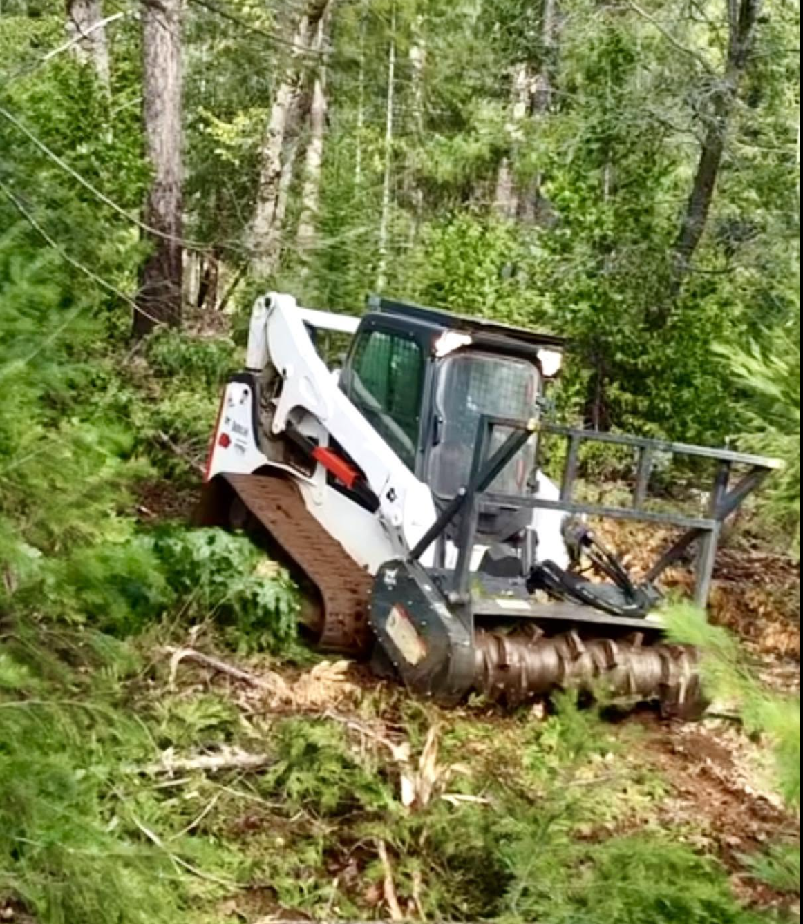 A small excavator working in a wooded forest area, clearing debris and vegetation.