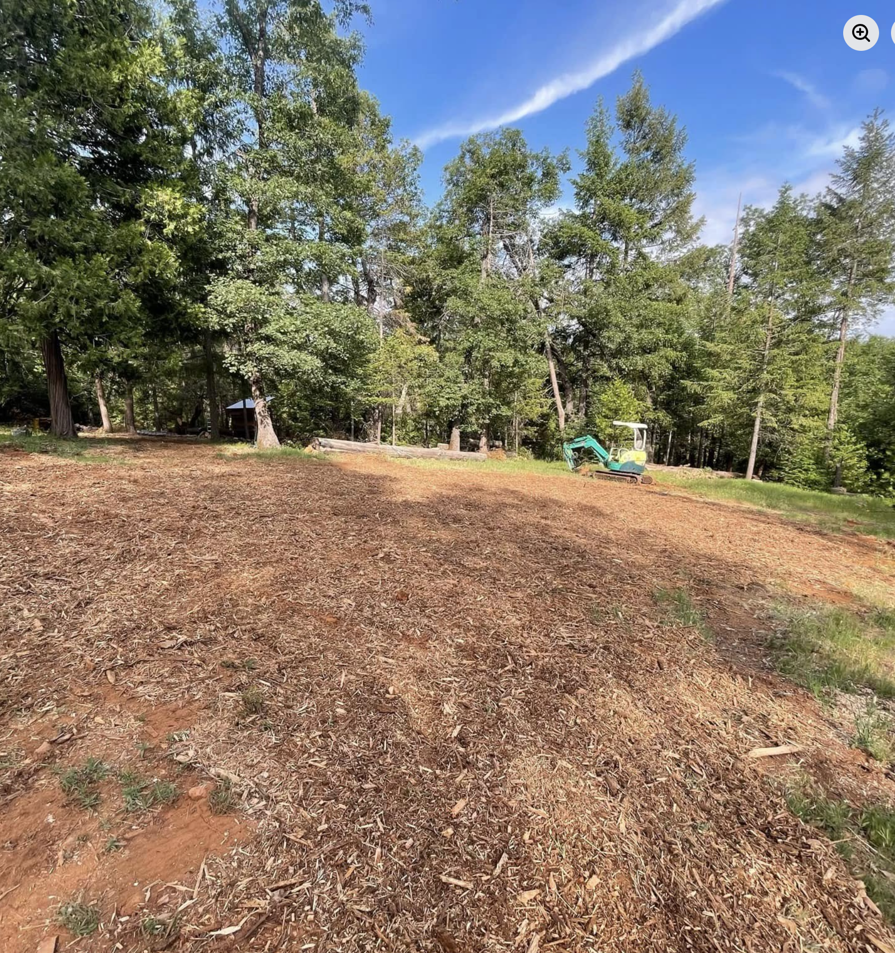 A cleared patch of ground covered with wood chips in a forest, with tall trees and a blue sky with some clouds overhead. There is a green and yellow excavator on the right side near the trees.