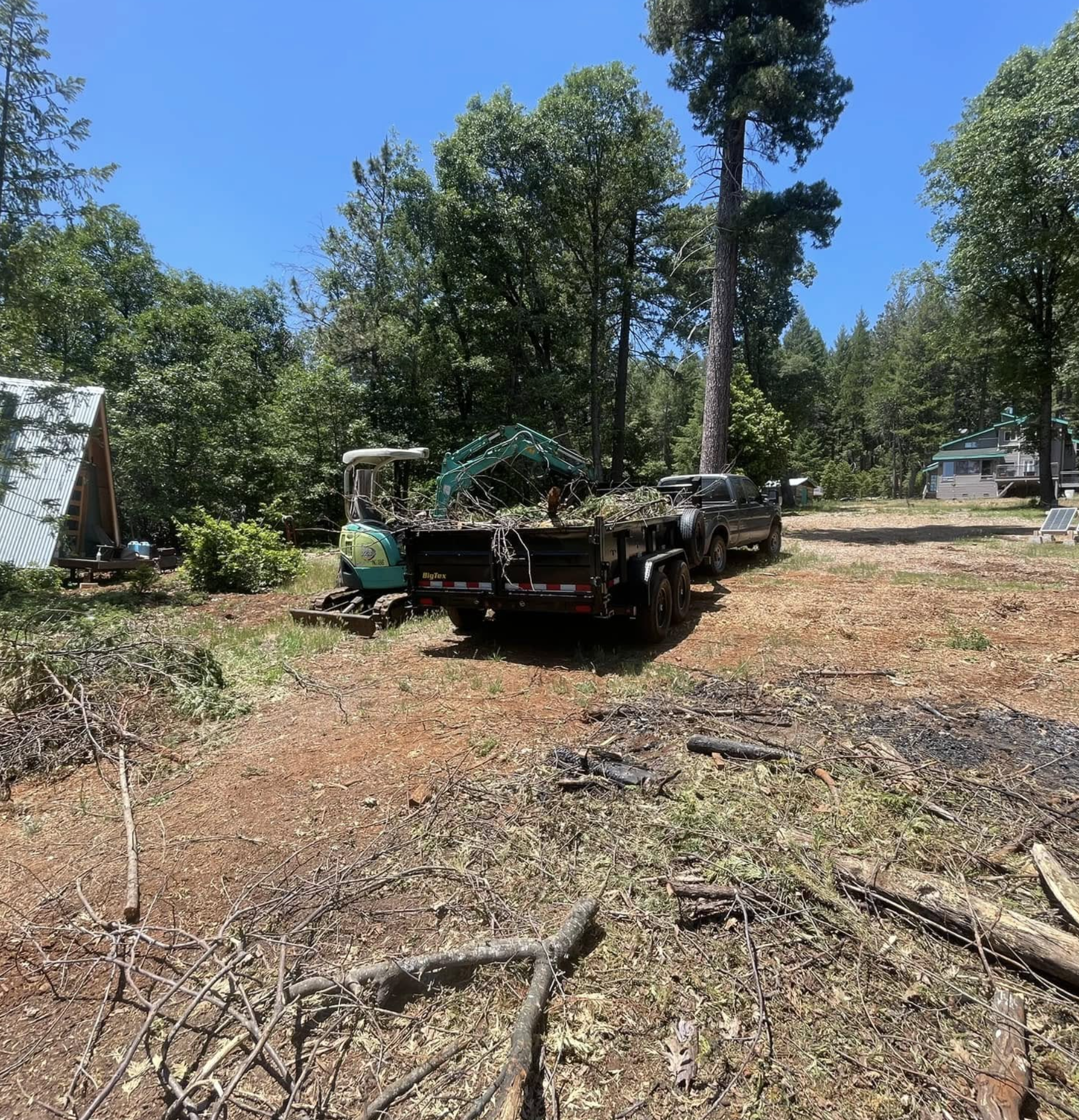 Clear cut area in a forest with fallen branches and trees, a wheelbarrow filled with sticks, and a black trailer parked nearby, with trees and a house in the background under a blue sky.