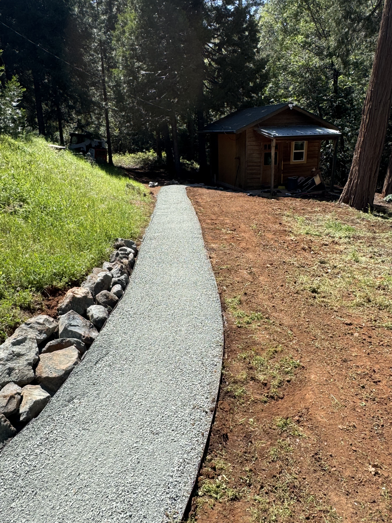 A newly paved concrete walkway leading to a wooden cabin in a wooded area with tall trees and a dirt yard.