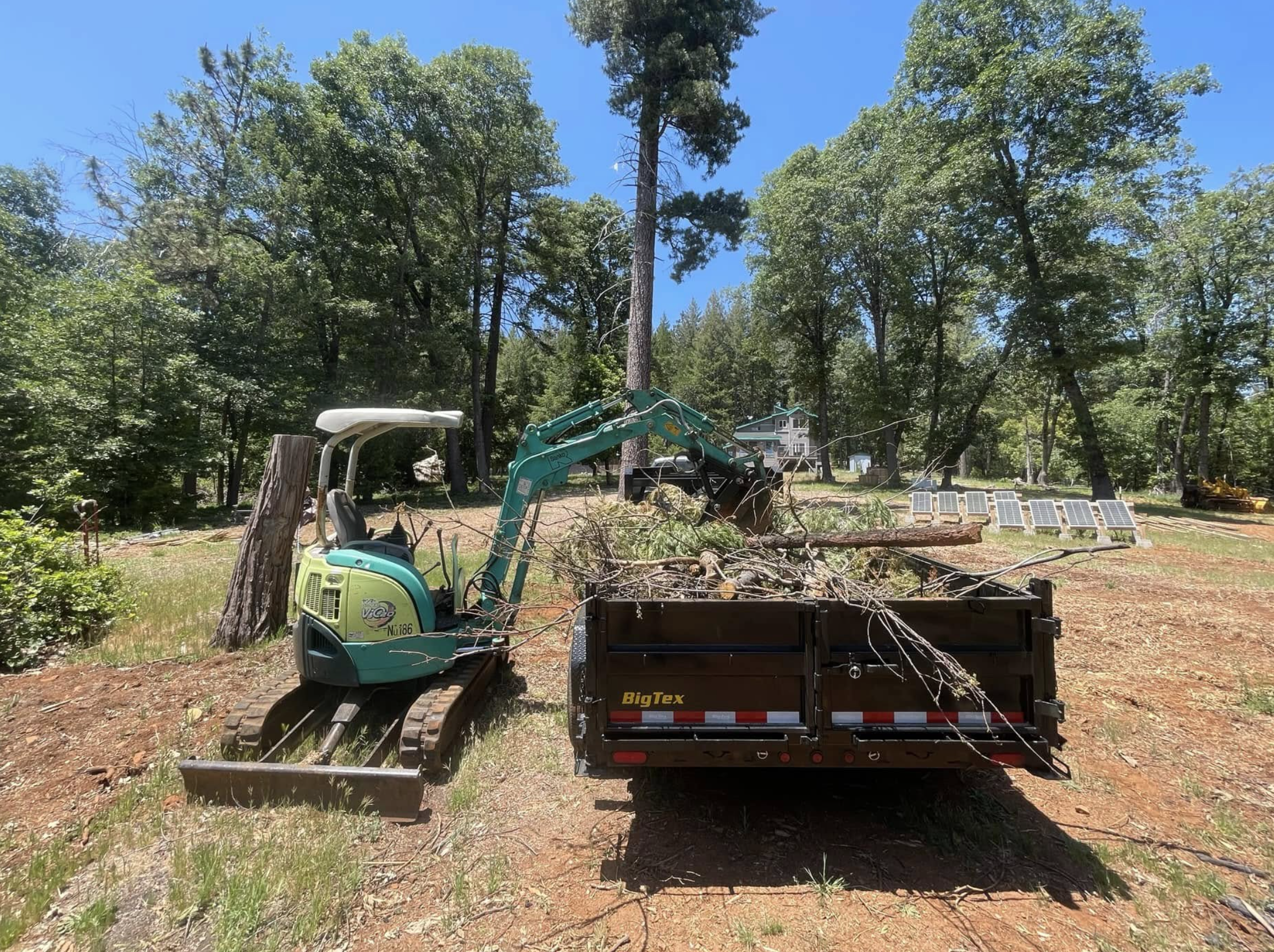 A small green excavator loads branches into a black Big Tex trailer in a wooded yard with tall trees, a house, and solar panels in the background.
