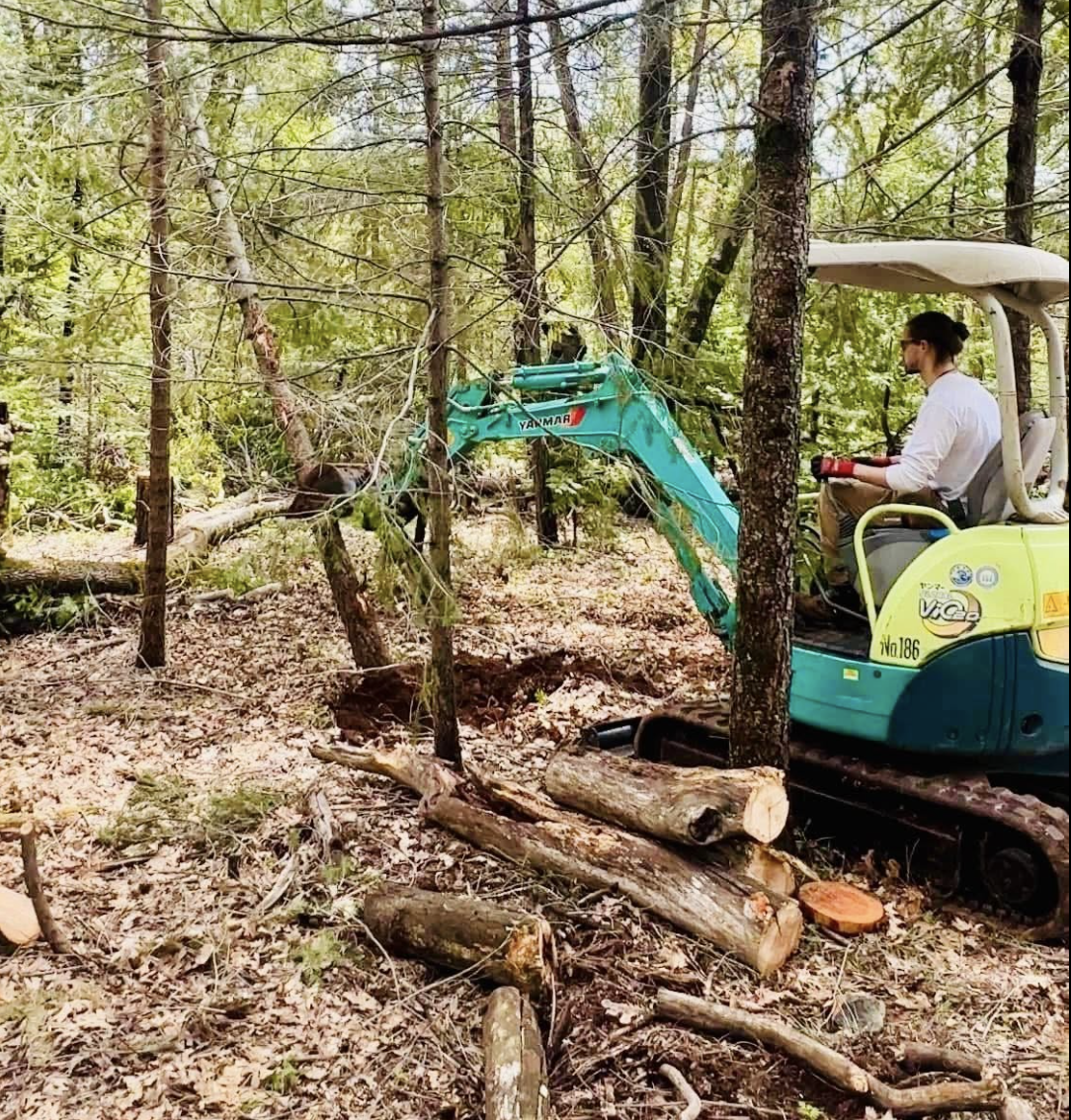 A woman operating a small blue and yellow excavator in a forest, cutting or removing tree branches and logs with a wooded background.