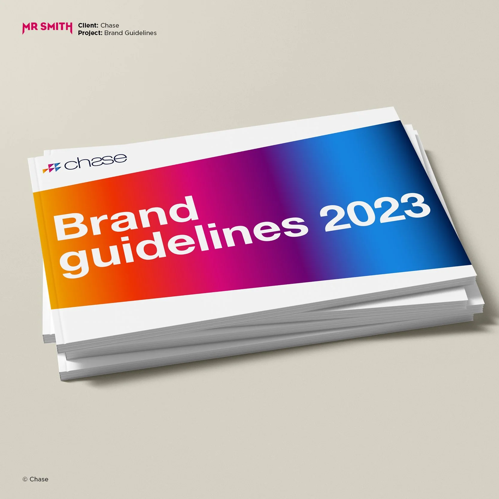 CHASE - Guidelines