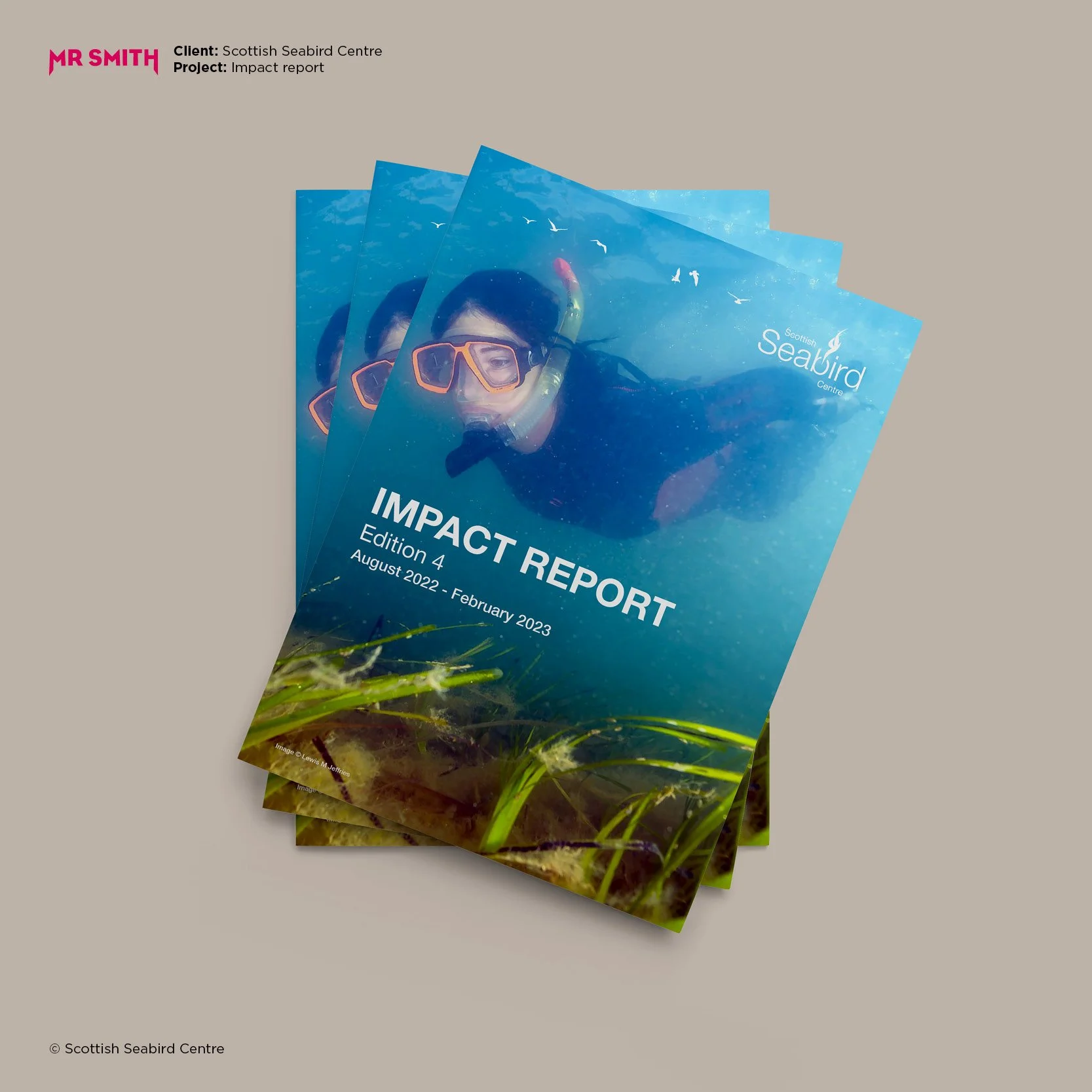 Multiple copies of a report titled 'Impact Report' featuring a scuba diver underwater and the Scottish Seabird Centre logo.