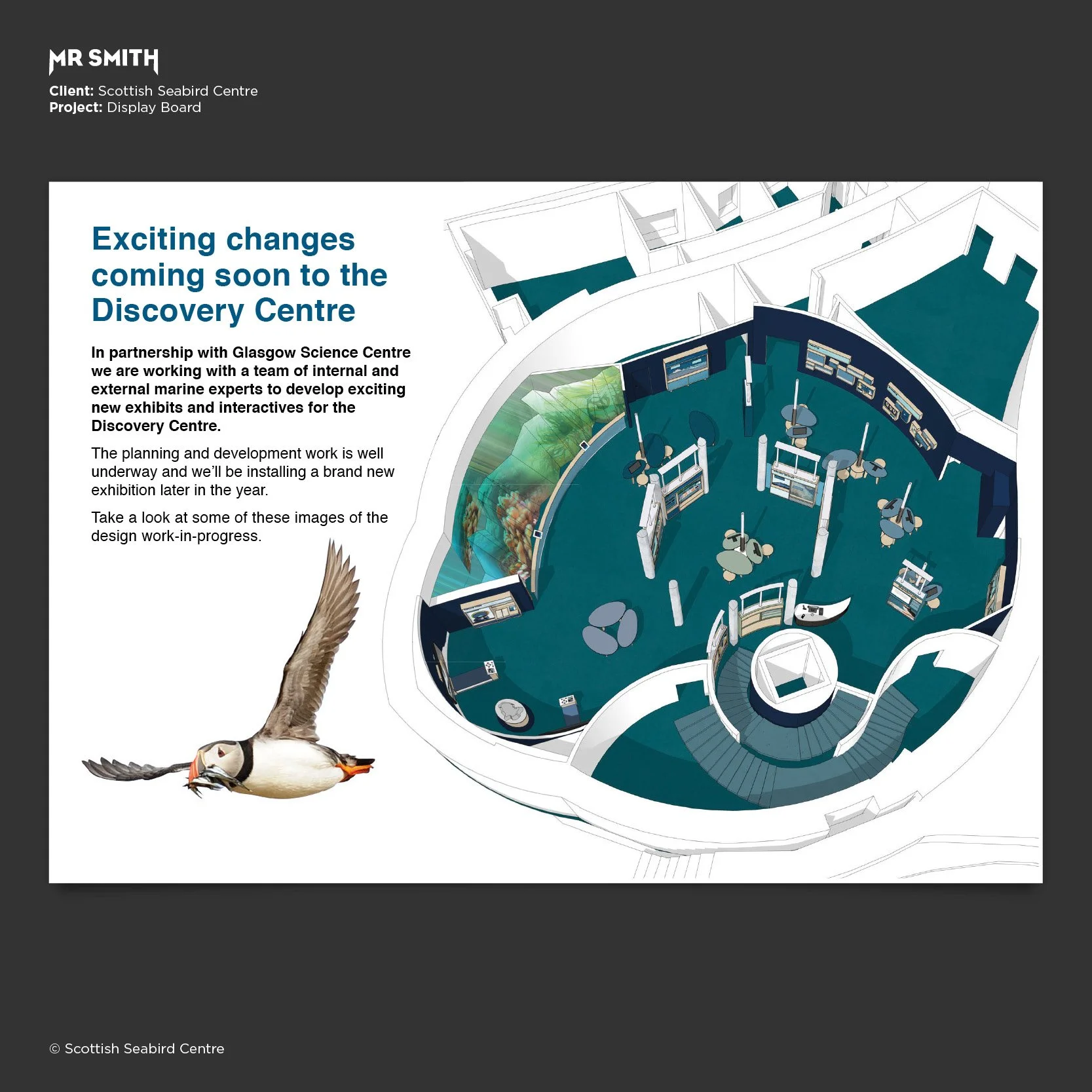 Design plan for the Scottish Seabird Centre display board featuring a 3D rendering of the interior layout, with part of a soaring seabird on the left.