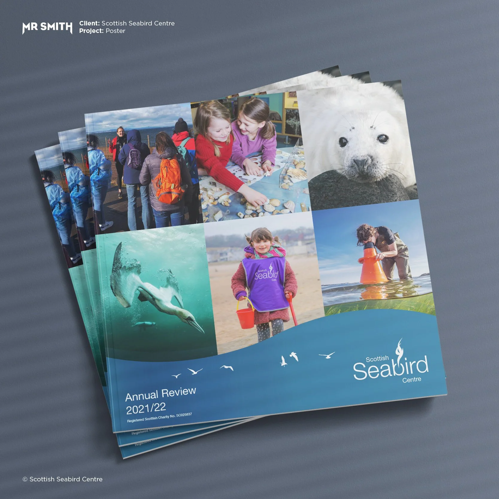 Cover of the Scottish Seabird Centre's annual review for 2021/22, featuring photos of children and adults observing seabirds and marine life, including a seal and sharks.