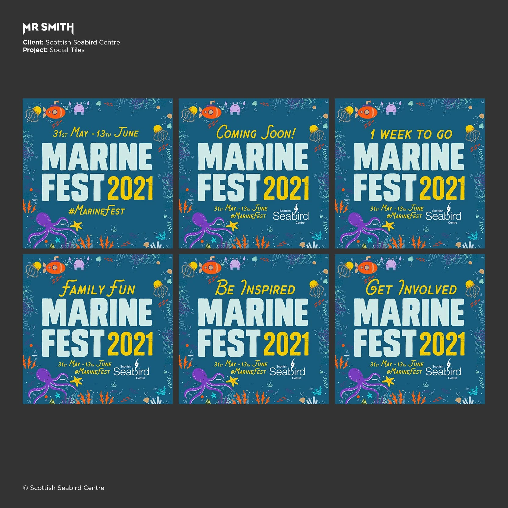 Scottish Seabird Centre - Social Ads