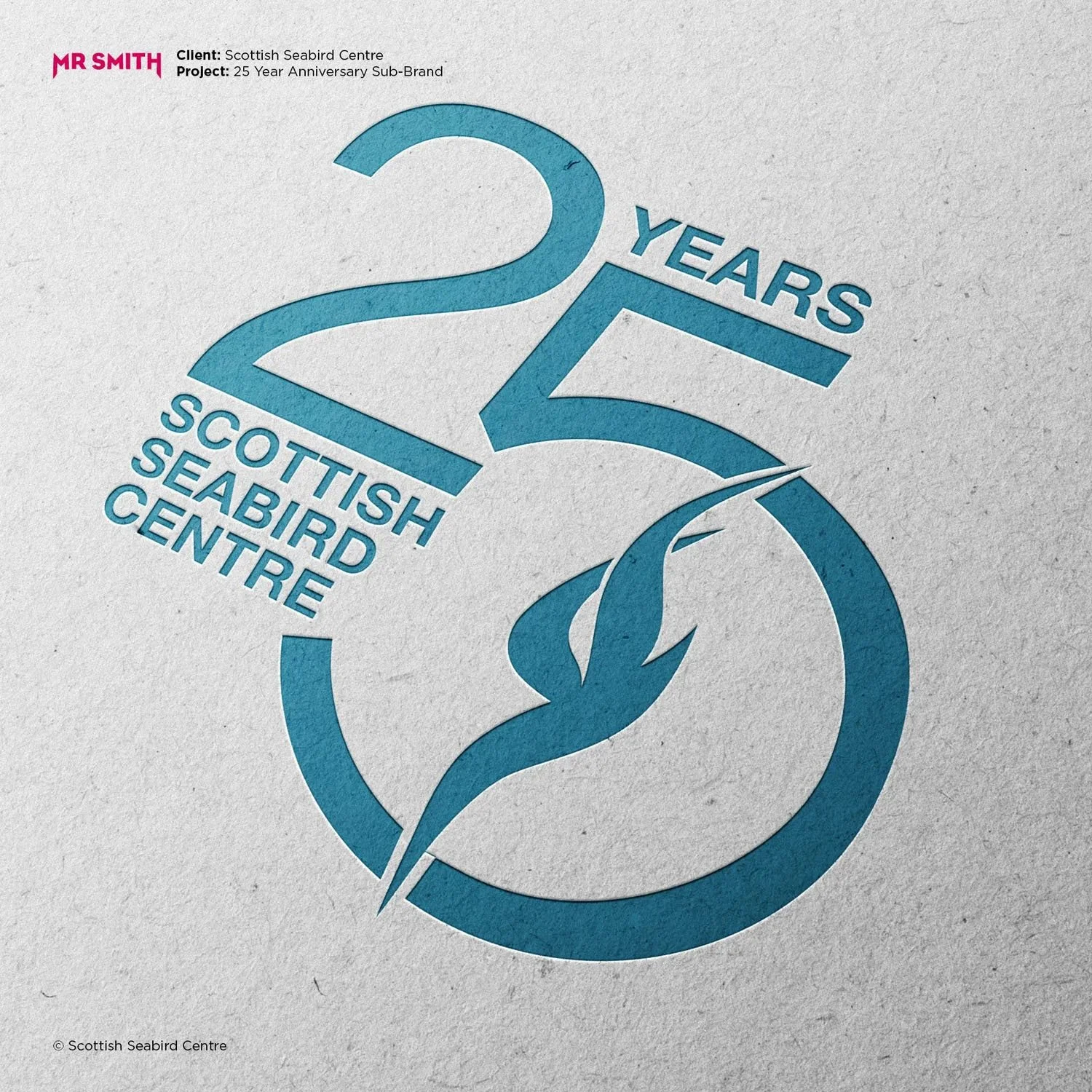 SSC+25+Year+Sub-Brand_.jpg.jpg