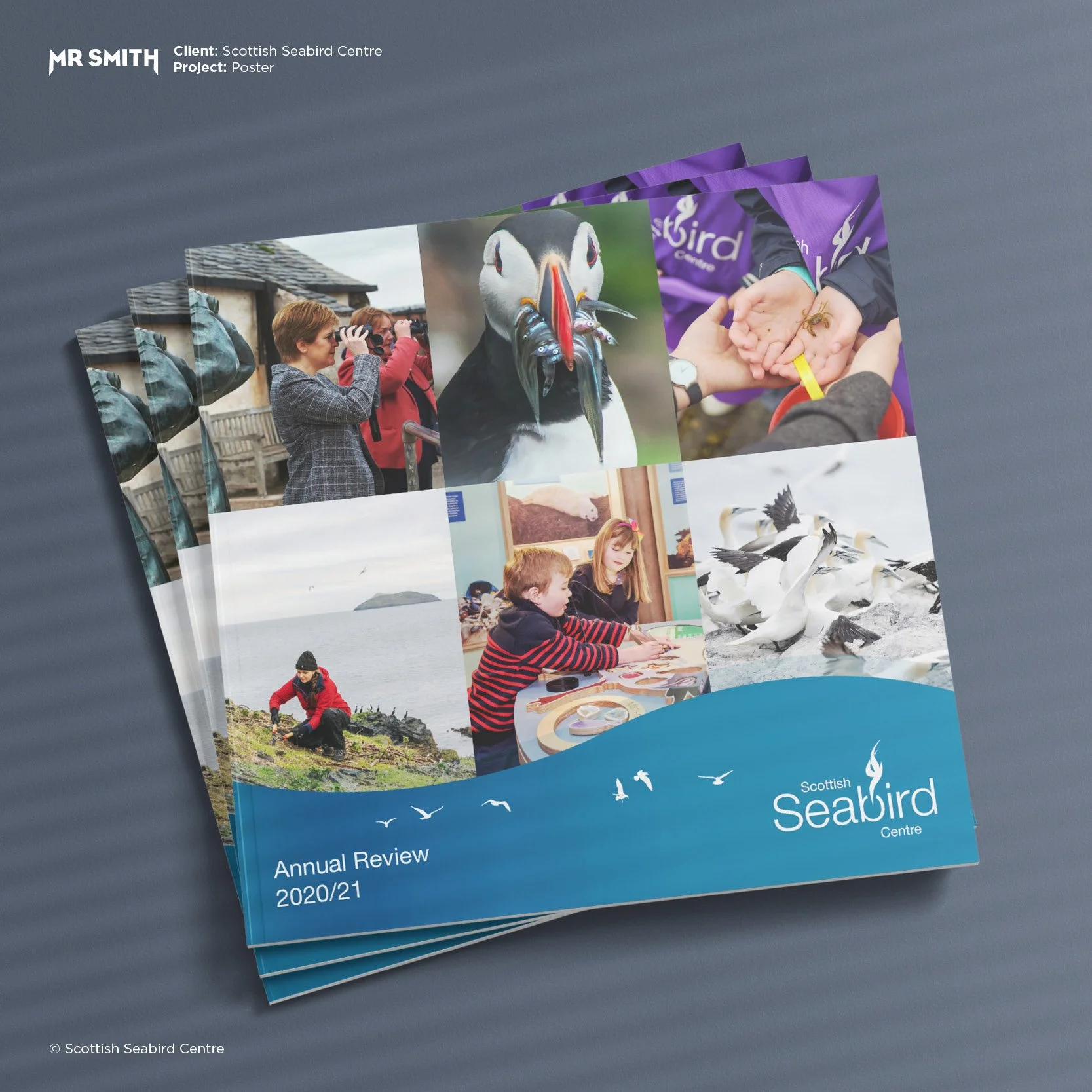 The image features a brochure for the Scottish Seabird Centre, displaying various pictures of seabirds, including puffins and birds on the beach, with some children and researchers engaged in wildlife observation and conservation activities.