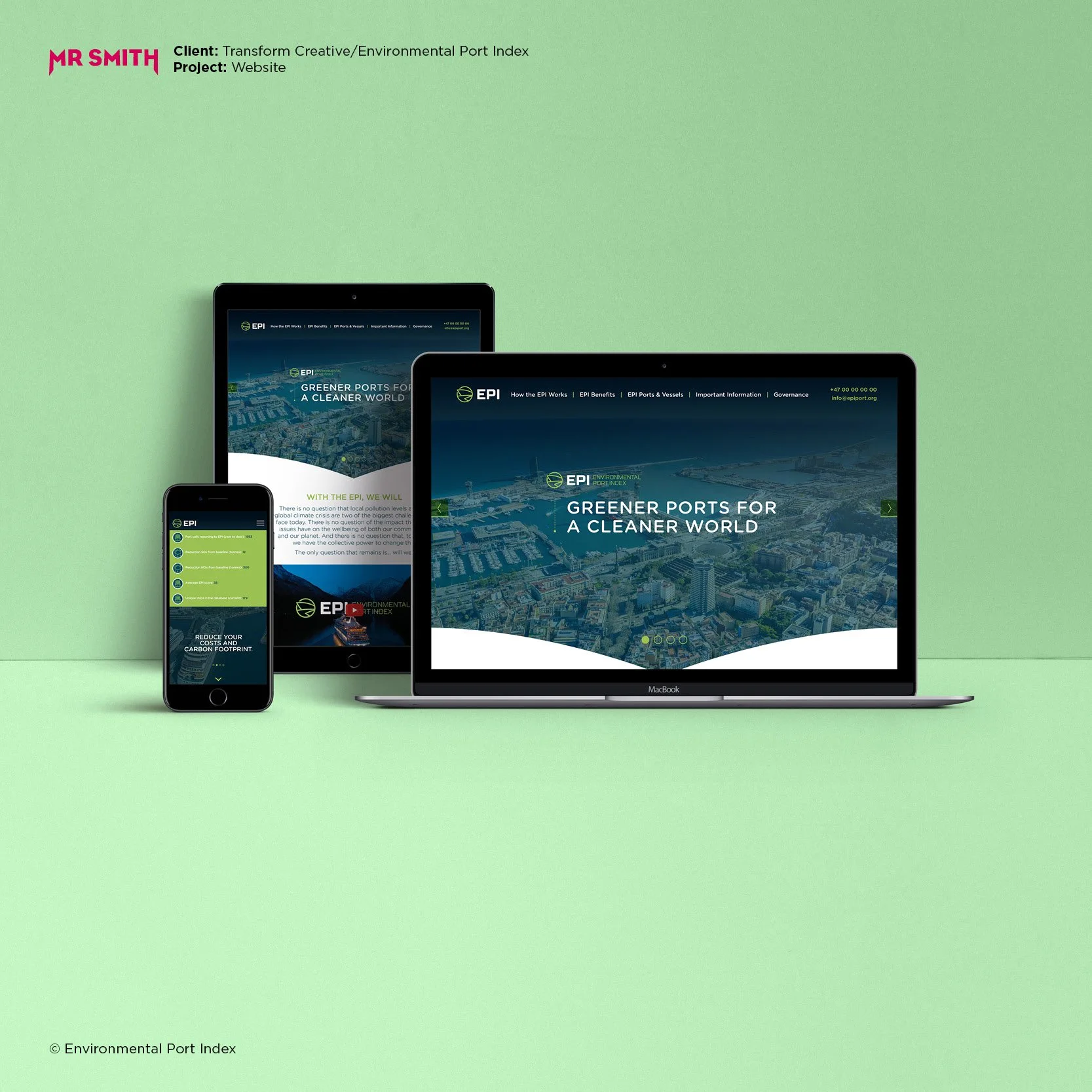 EPI - website