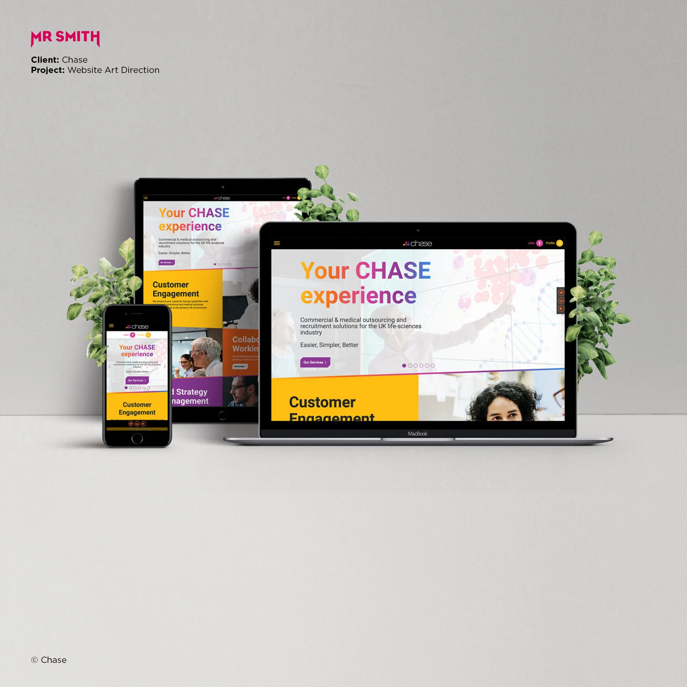 CHASE - website