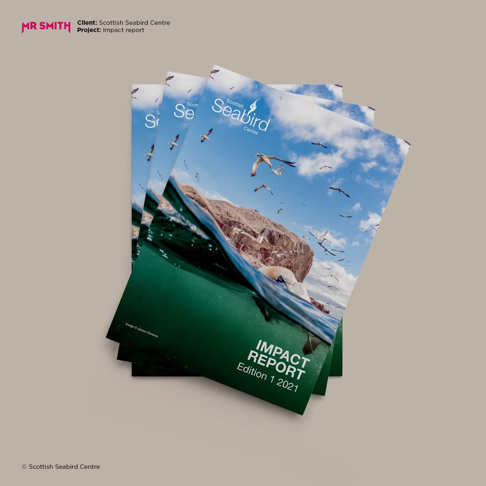 Multiple copies of the Scottish Seabird Centre Impact Report, Edition 1, 2021, with a cover image of seagulls flying over the ocean and a cliff under a partly cloudy sky.