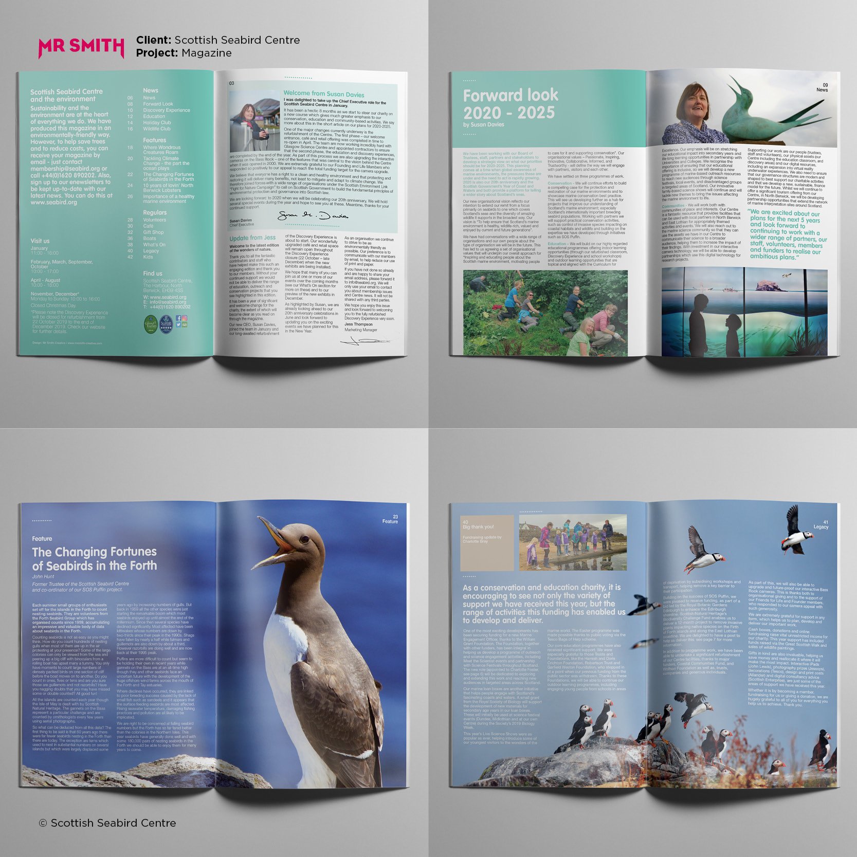 Open magazine spread featuring articles about seabirds, with images of a gannet on the left page and a group of puffins on the right page, and a quote about the Scottish Seabird Centre's conservation plans.