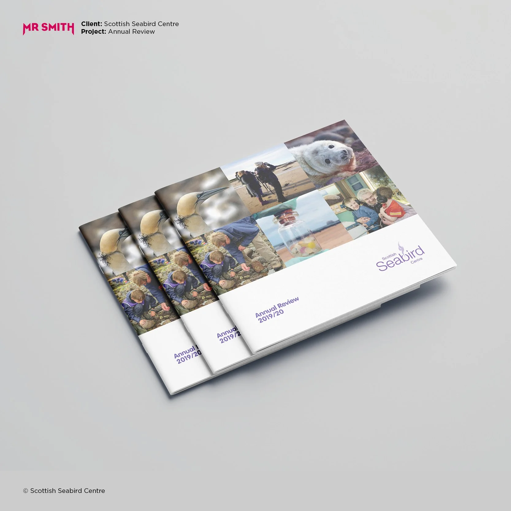 Three copies of a booklet titled "Annual Review 2019/20" by the Scottish Seabird Centre, stacked on a gray surface, with part of the cover showing images of seabirds, people on a beach, and children in a classroom.