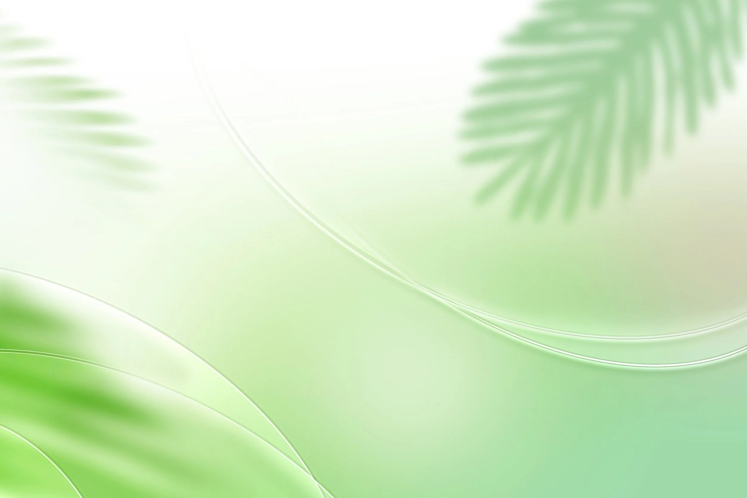 Chinese lunch specials near me, Chinese party trays for catering, Best takeout in Petaluma.