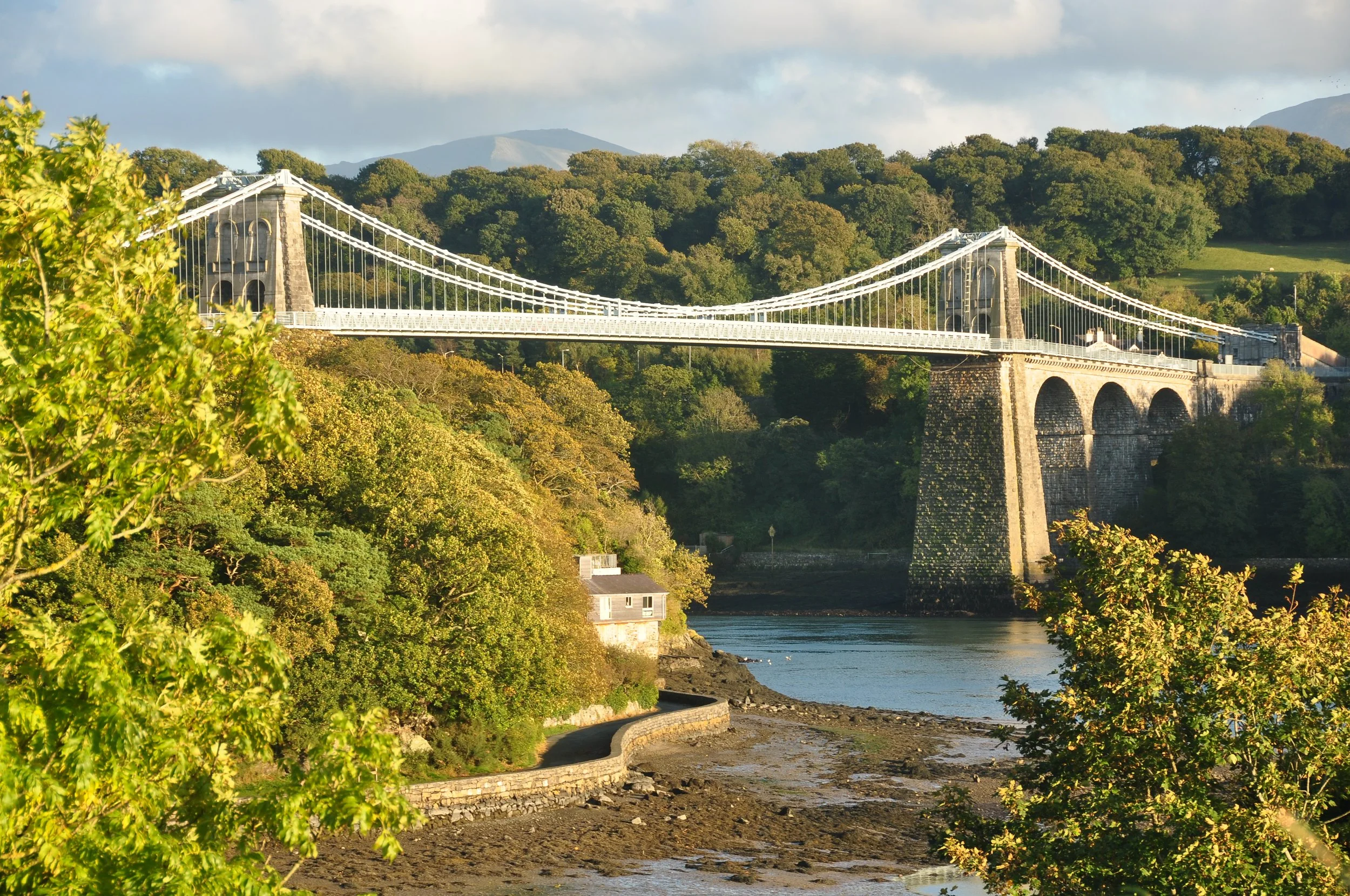 The Menai Suspension Bridge seen among trees