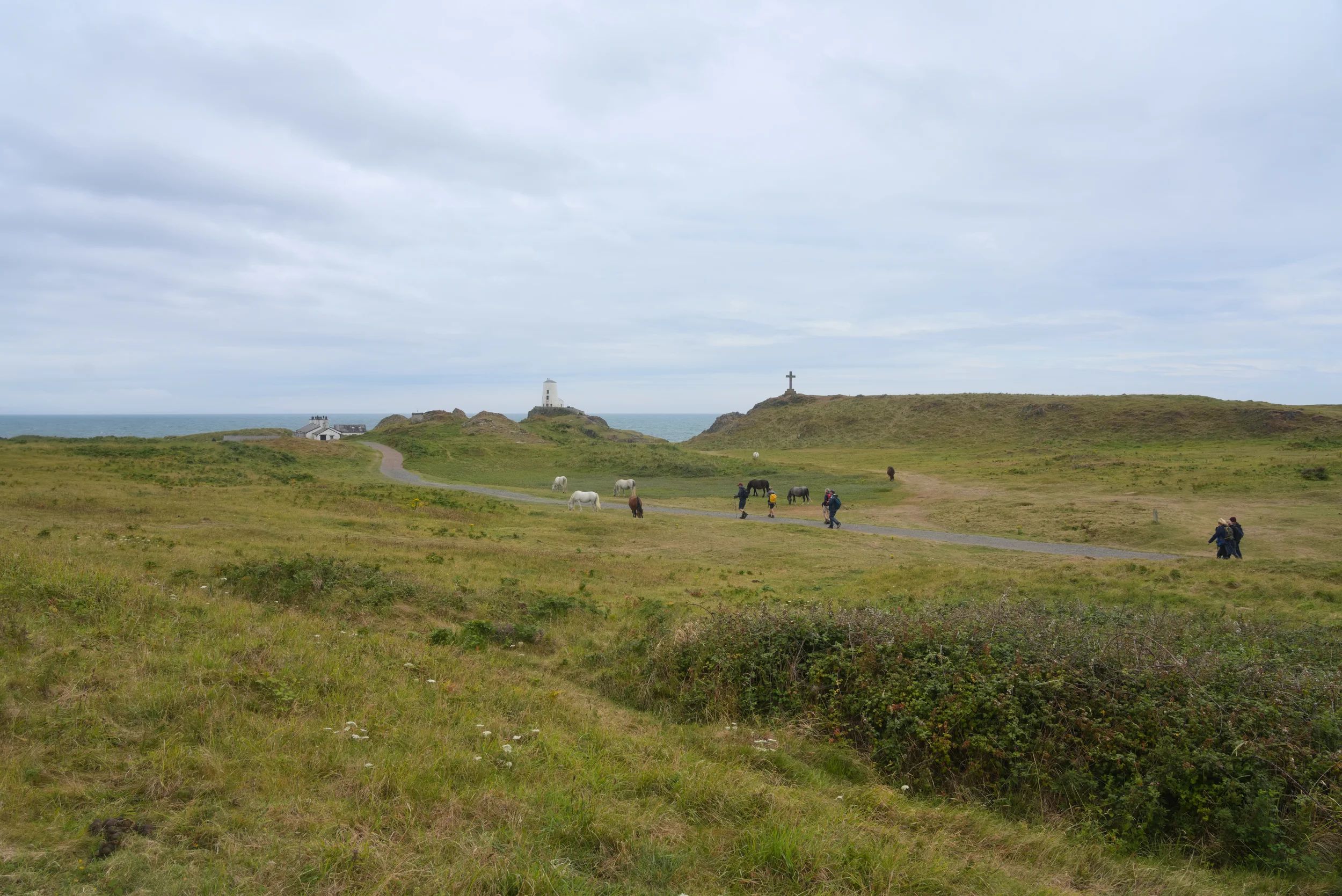 Walkers on the grassy headland of Llanddwyn Island, with a lighthouse on the skyline