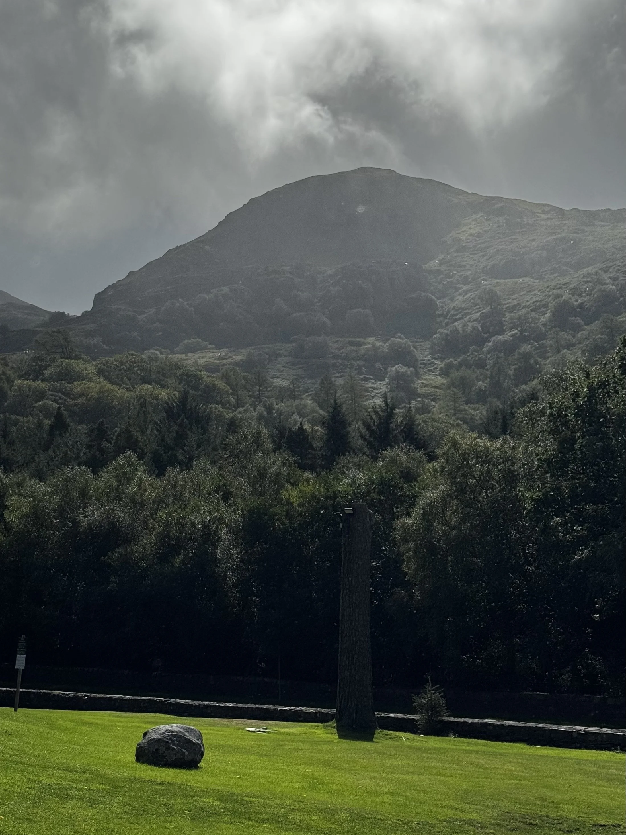 A lawn and woodland beneath a cloud-covered mountain