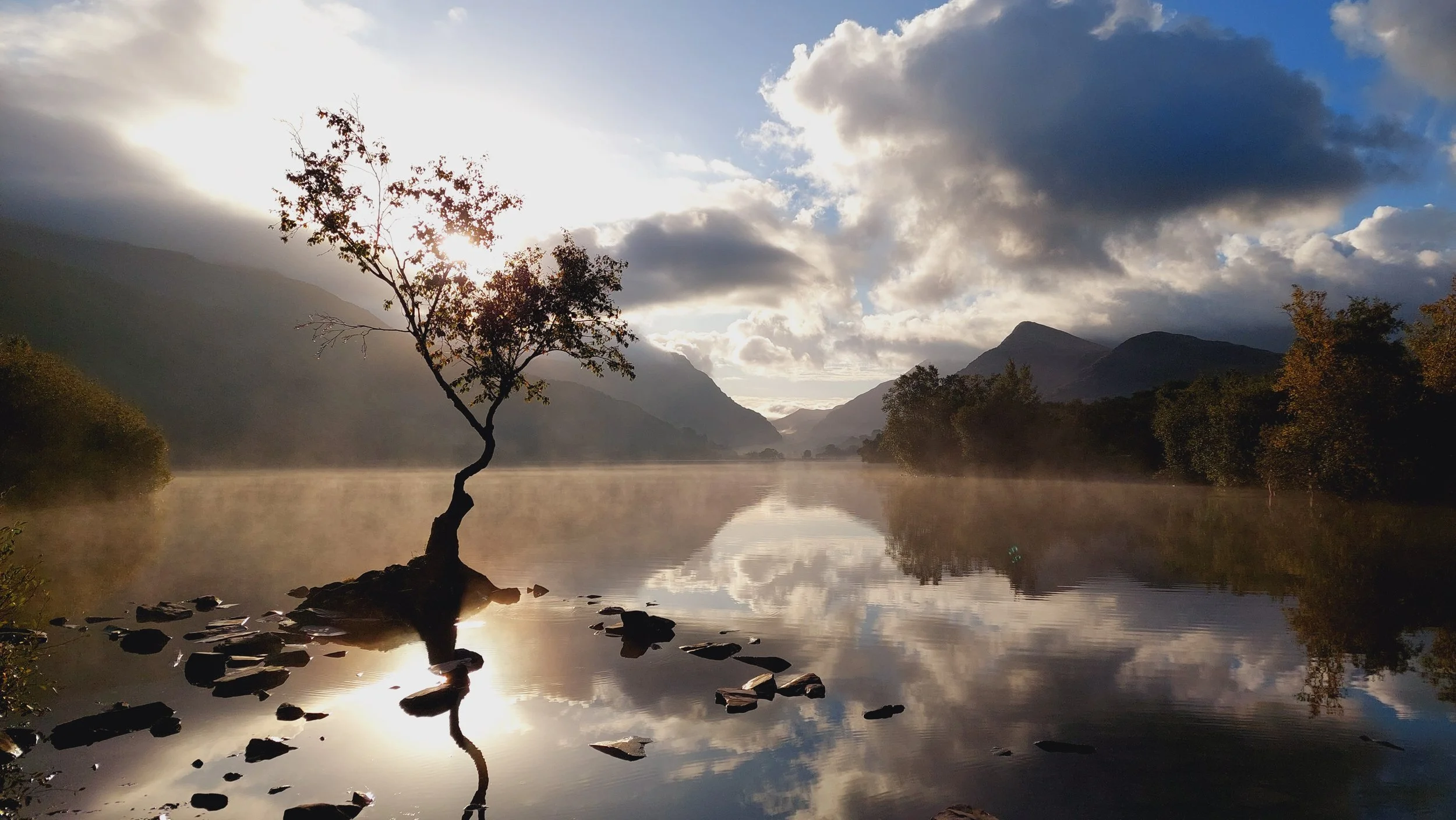 The lonely tree standing in the still water of Llyn Padarn at Llanberis, with mountains and clouds behind