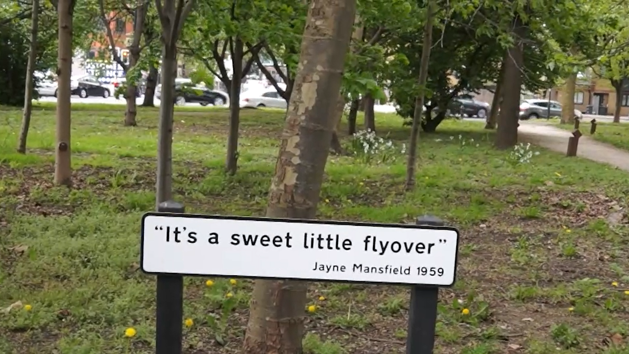 A park scene with trees, a sidewalk, and a sign that reads, "It's a sweet little flyover" by Jayne Mansfield 1959.