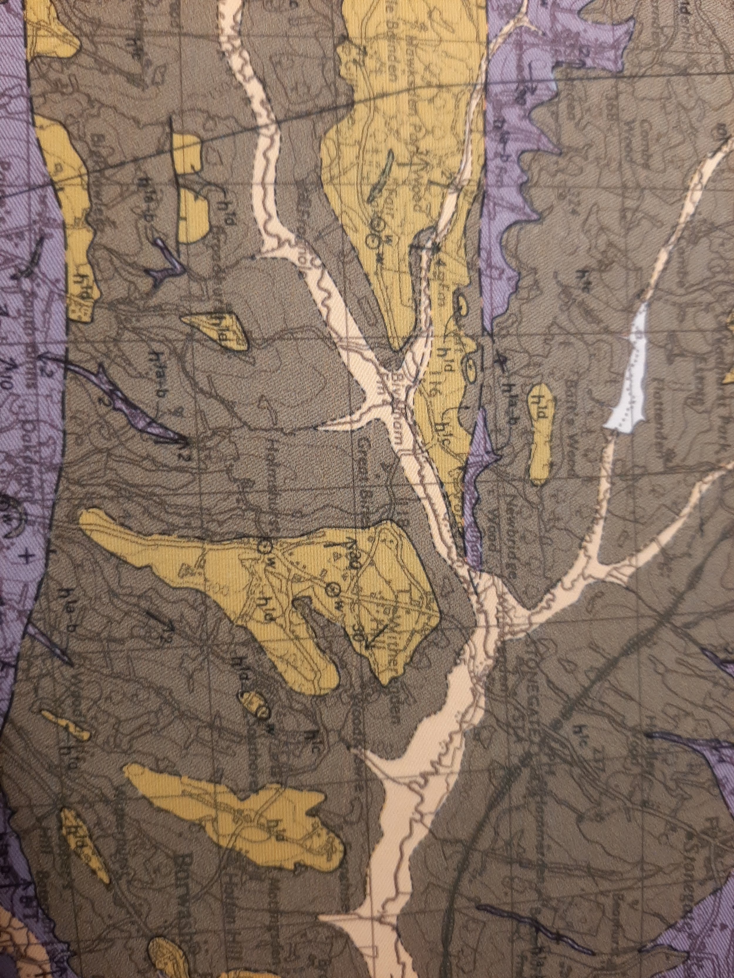 A vintage topographical map showing lakes, roads, and terrain features, with color-coded areas in purple, yellow, and brown.